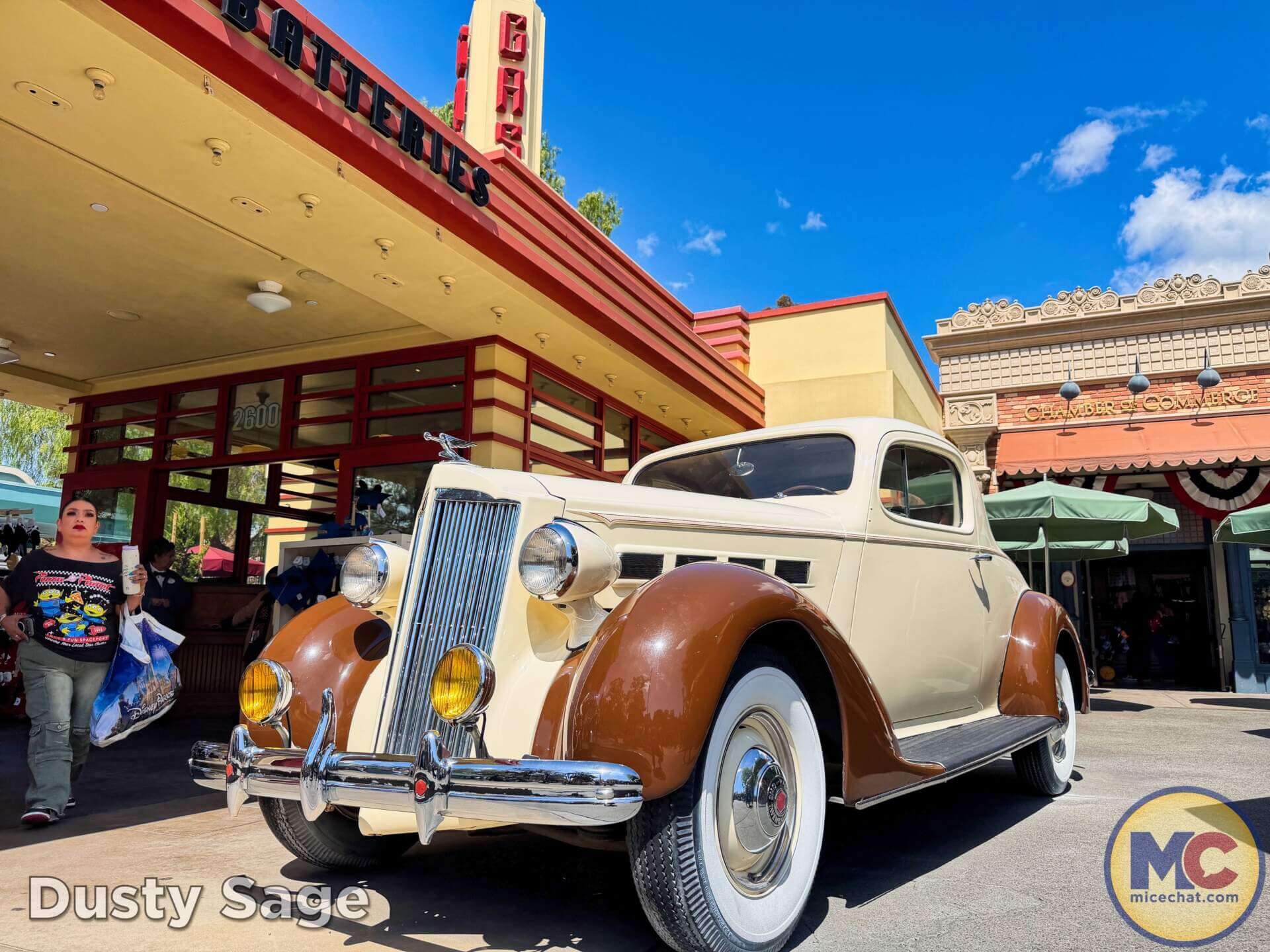 Disneyland News, DISNEYLAND UPDATE: Summer Builds, Shady Spots & Kids Rule