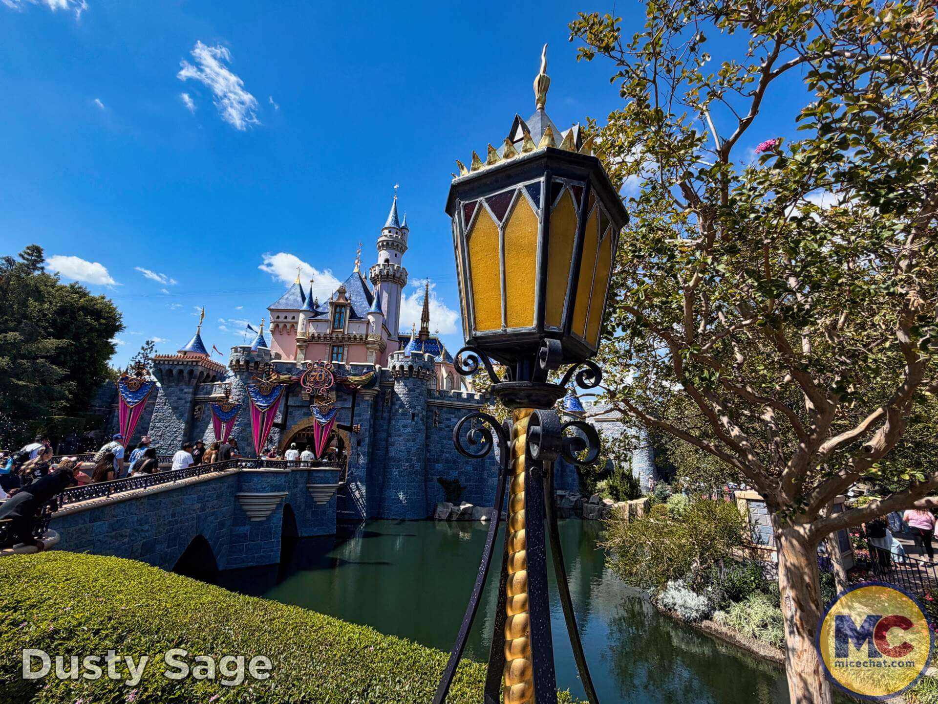 Disneyland News, DISNEYLAND UPDATE: Summer Builds, Shady Spots & Kids Rule