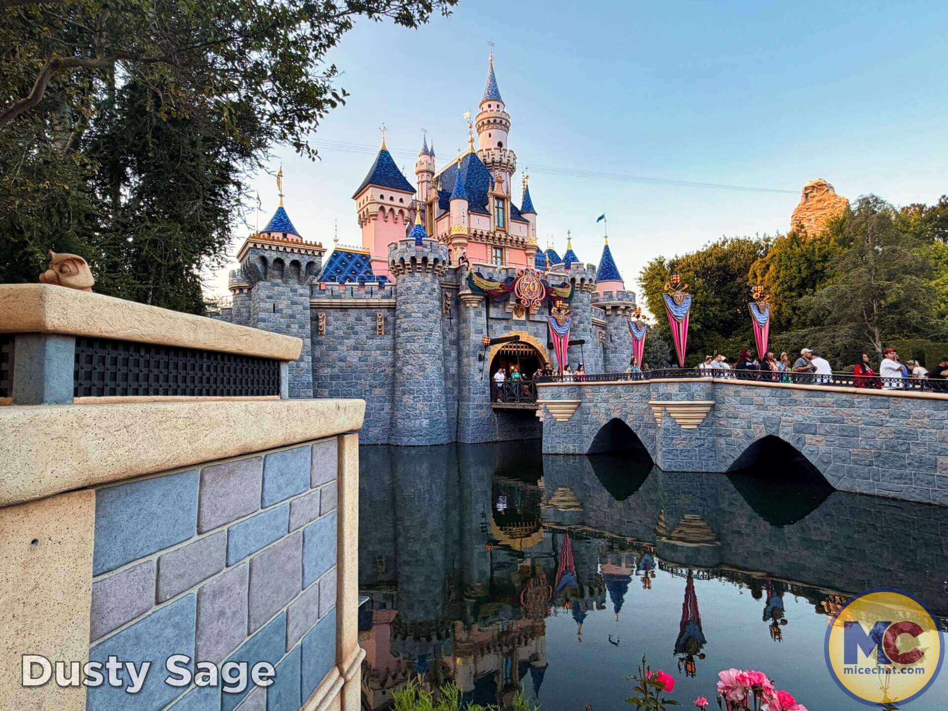 Disneyland, DISNEYLAND UPDATE: Secret Grogu Mode, Coco Walls & An Emergency Next Door