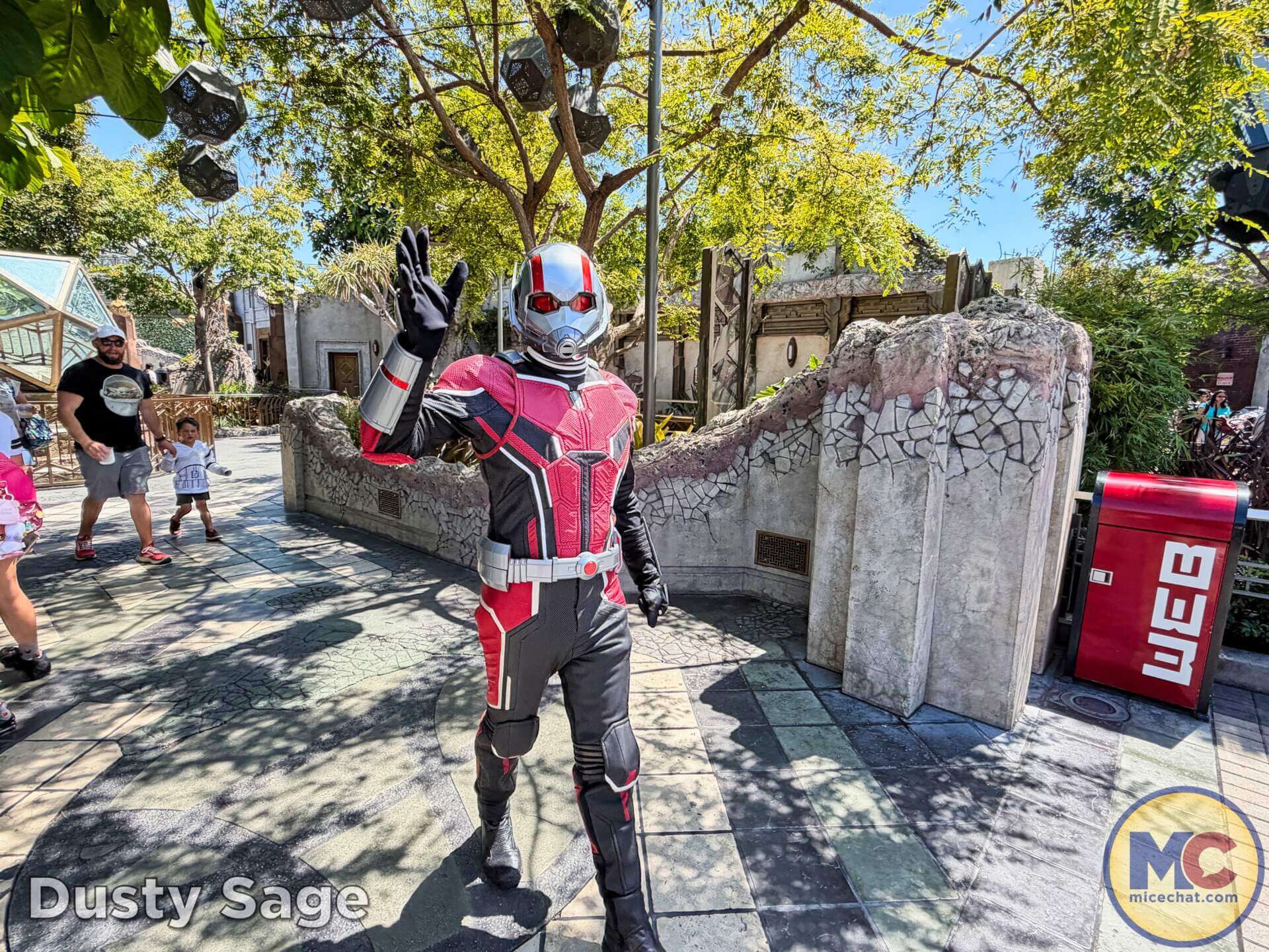 Disneyland News, DISNEYLAND UPDATE: Summer Builds, Shady Spots & Kids Rule