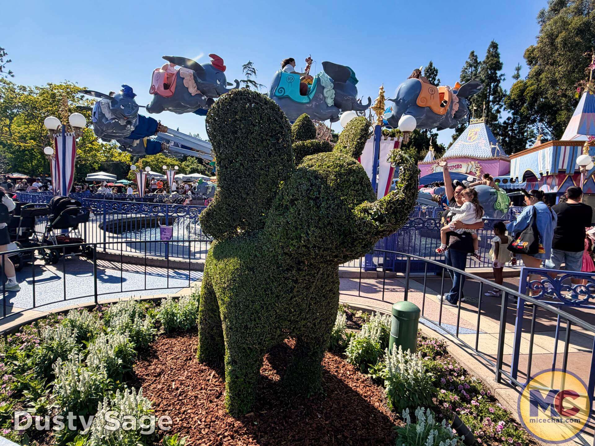 , DISNEYLAND UPDATE: Grogu Nights, Security Fights & Influencer Hype