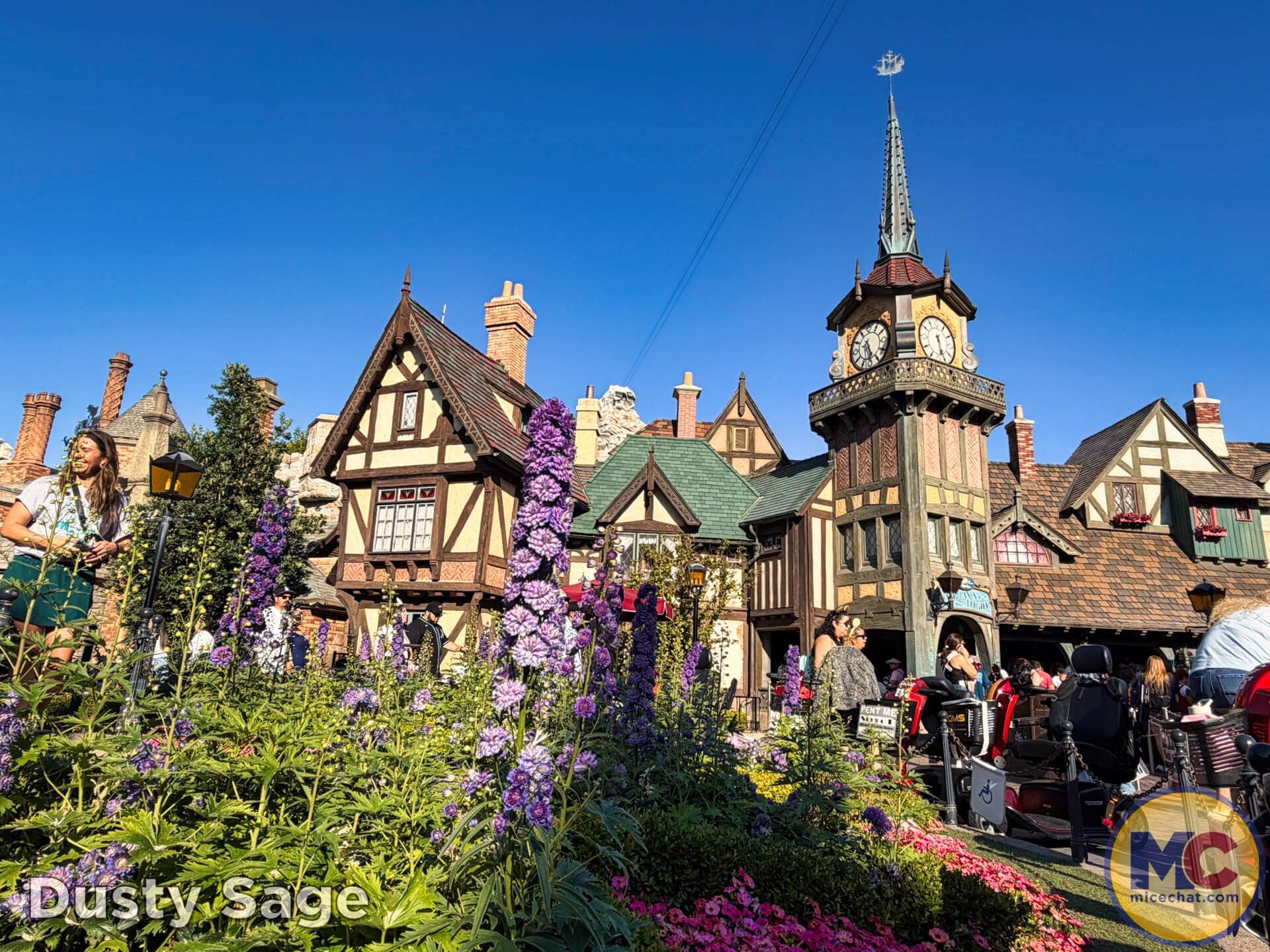 , DISNEYLAND UPDATE: Autopia Sparks, Star Wars Snarls & Summer Starts