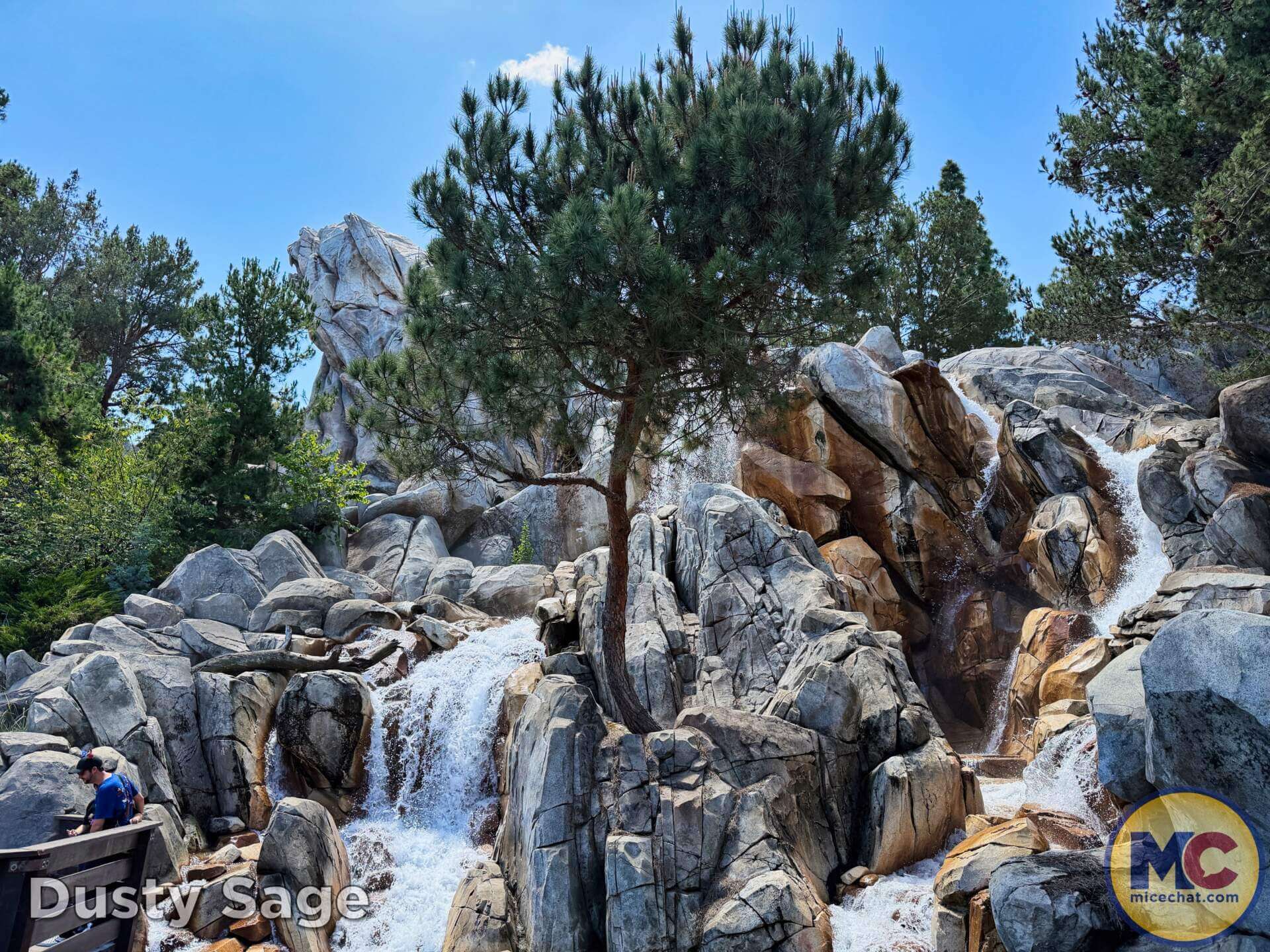 Disneyland News, DISNEYLAND UPDATE: Summer Builds, Shady Spots & Kids Rule