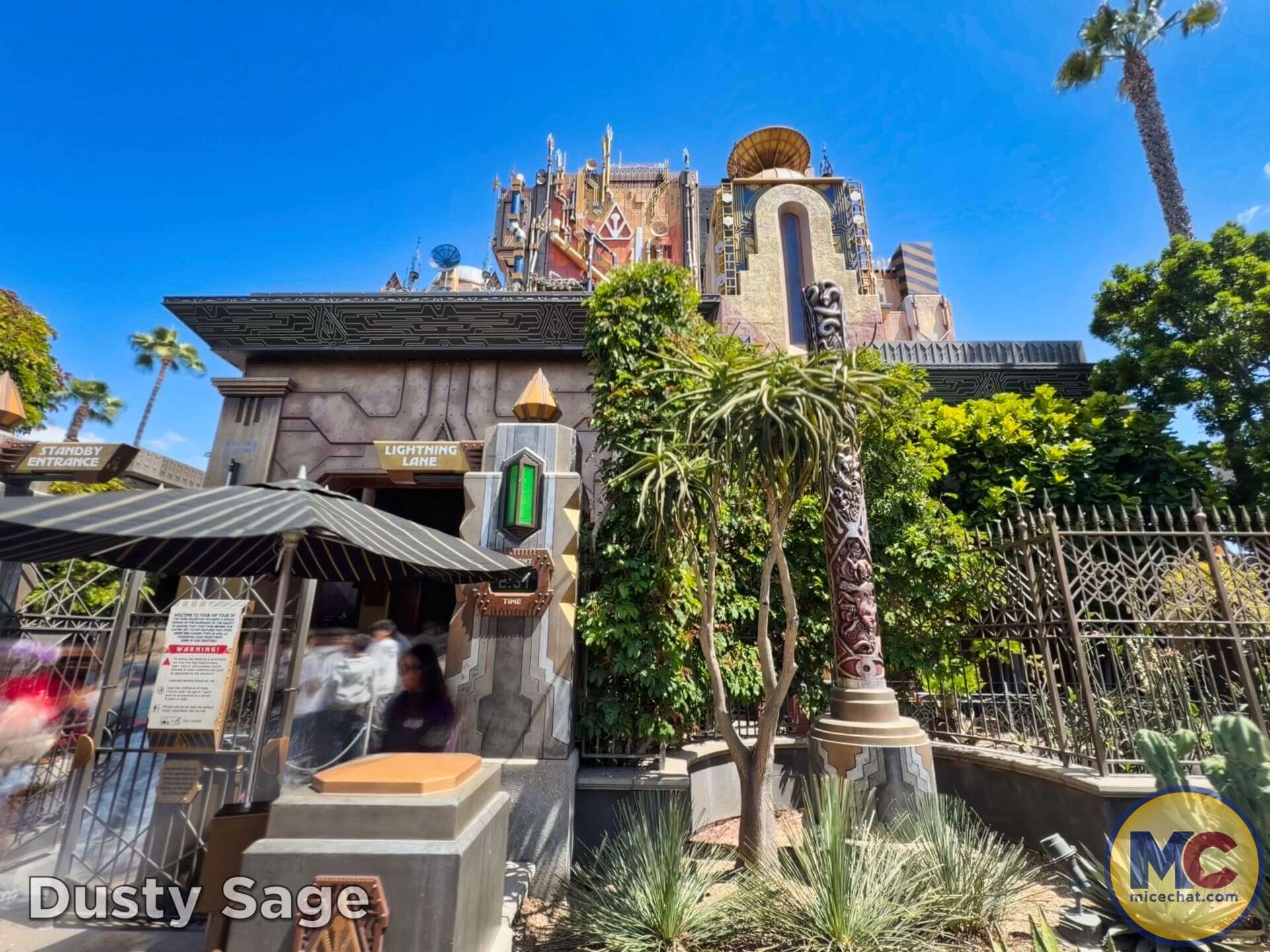 Disneyland News, DISNEYLAND UPDATE: Summer Builds, Shady Spots & Kids Rule