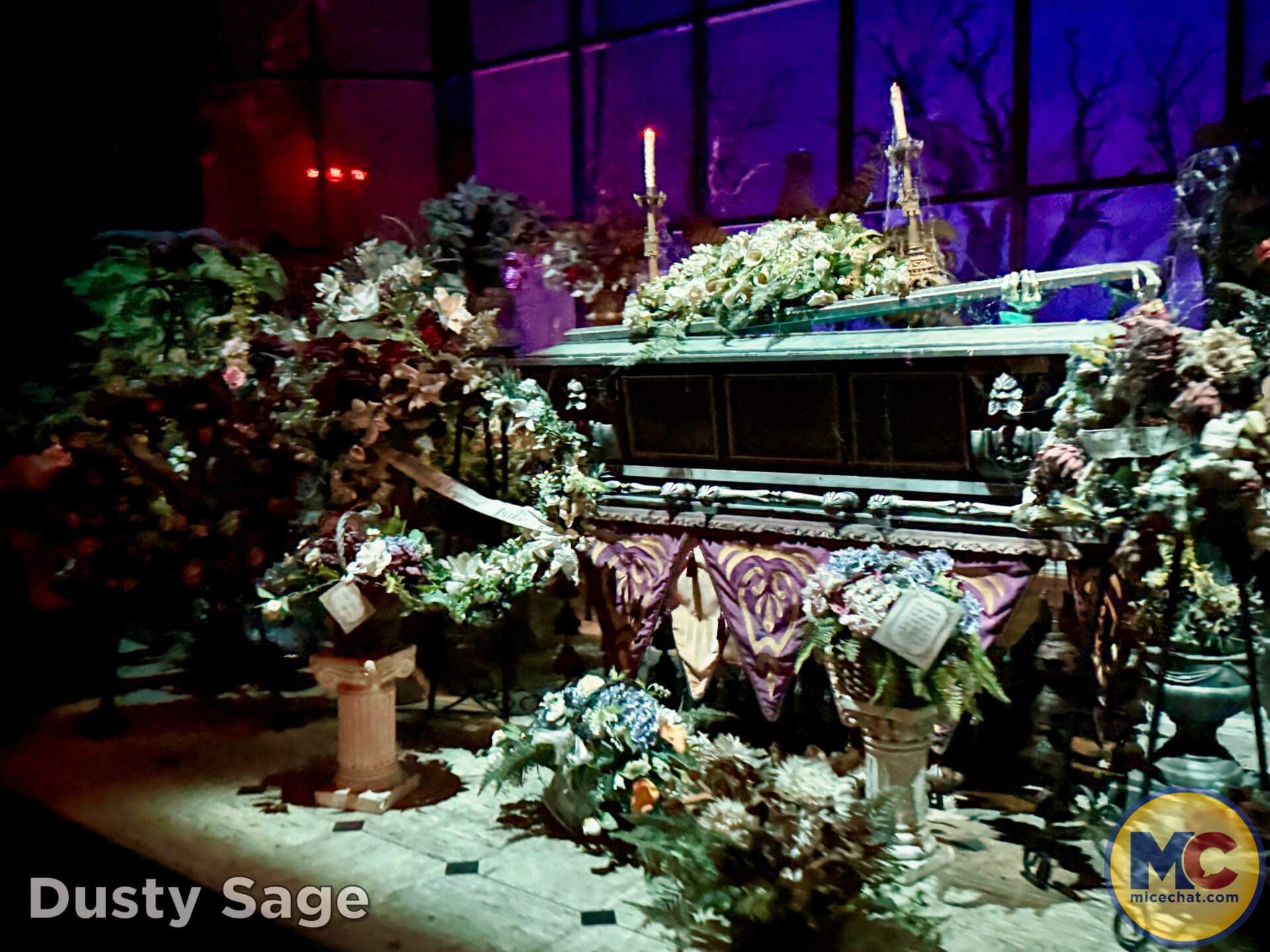 Disneyland, DISNEYLAND UPDATE: Secret Grogu Mode, Coco Walls & An Emergency Next Door