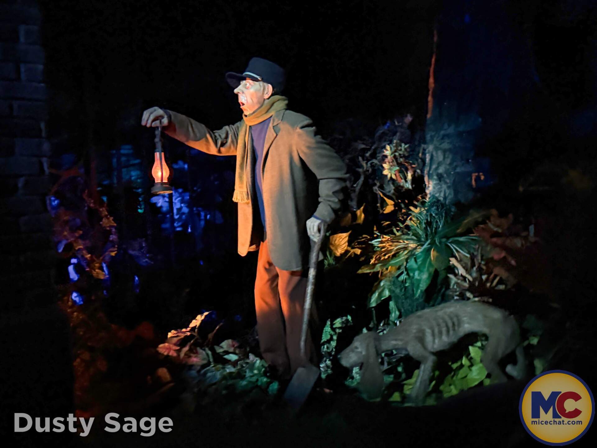 Disneyland, DISNEYLAND UPDATE: Secret Grogu Mode, Coco Walls & An Emergency Next Door