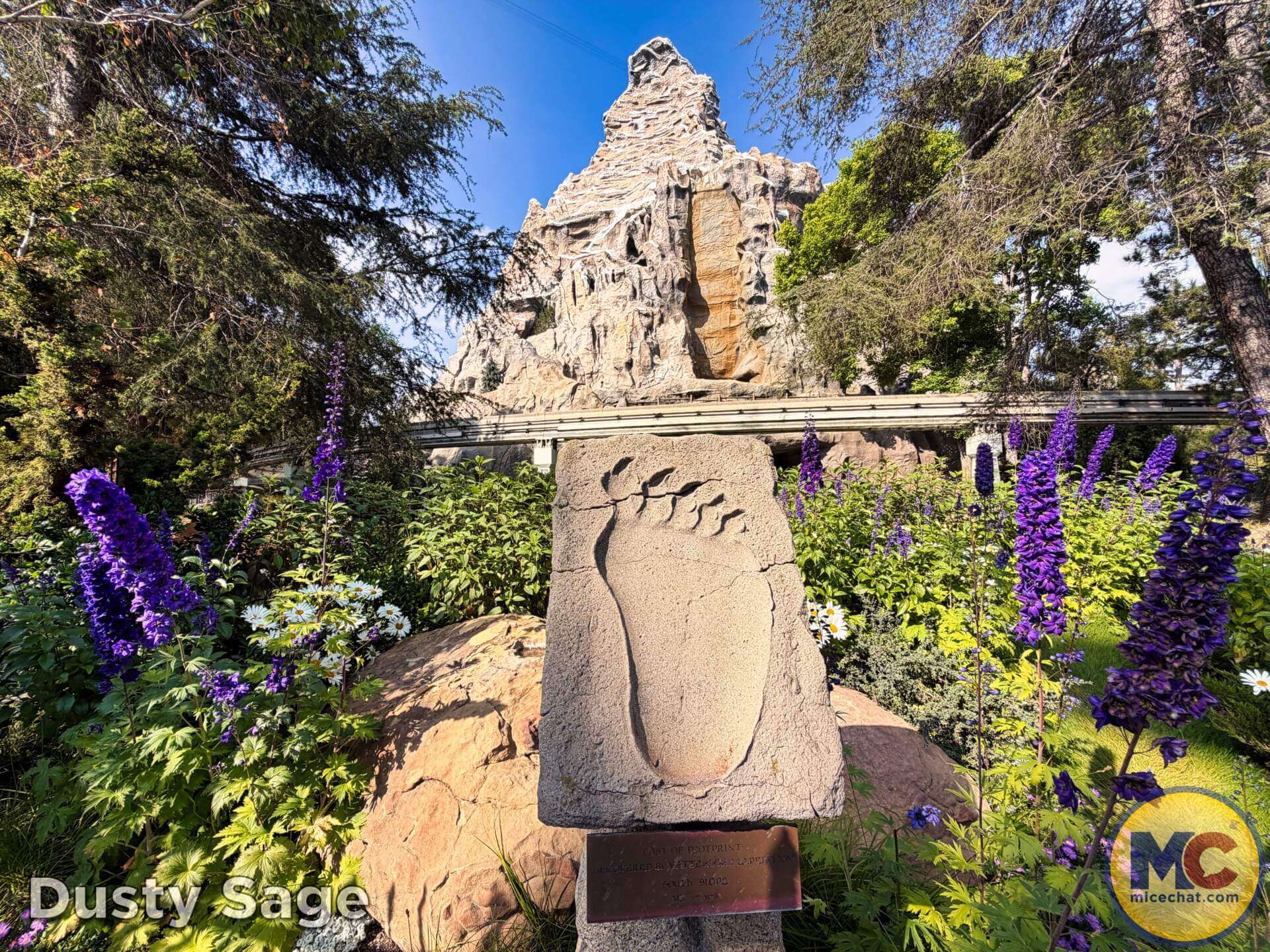 , DISNEYLAND UPDATE: Grogu Nights, Security Fights & Influencer Hype