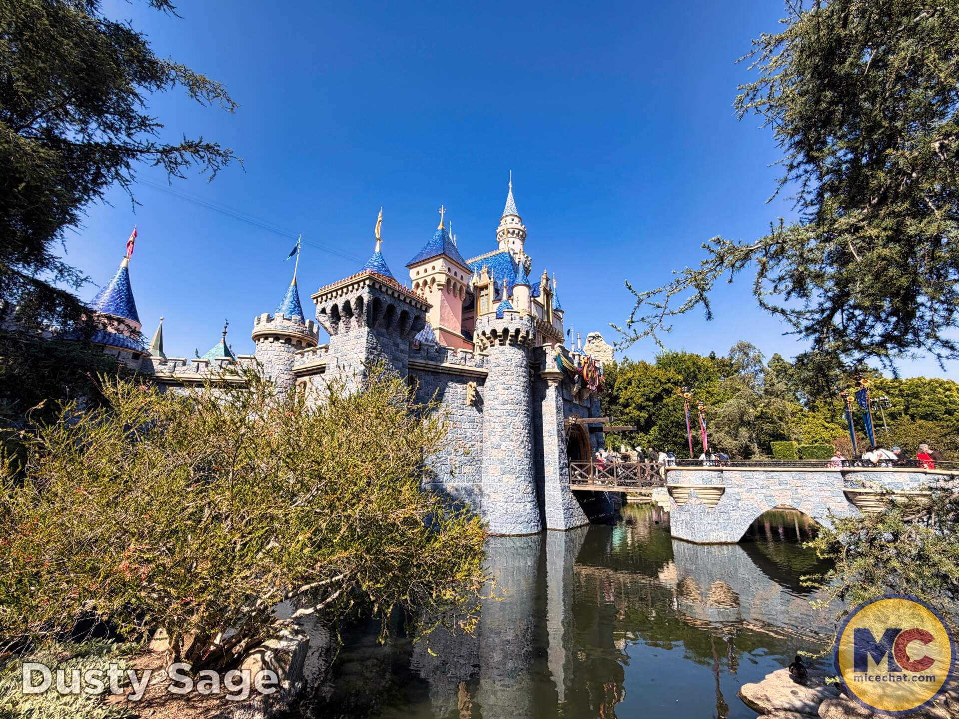 , DISNEYLAND UPDATE: Grogu Nights, Security Fights & Influencer Hype