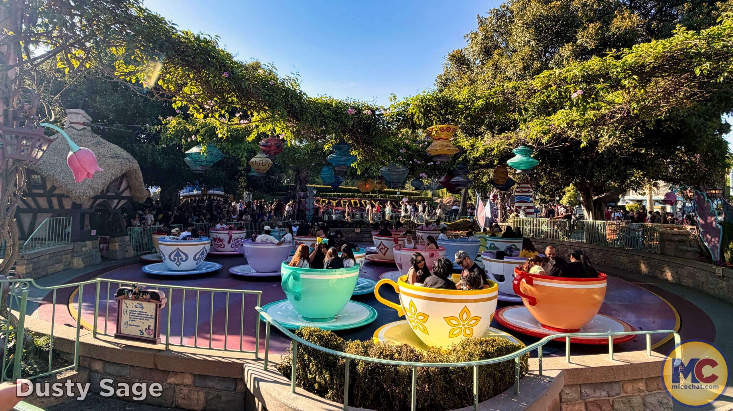 Disneyland, DISNEYLAND UPDATE: Secret Grogu Mode, Coco Walls & An Emergency Next Door