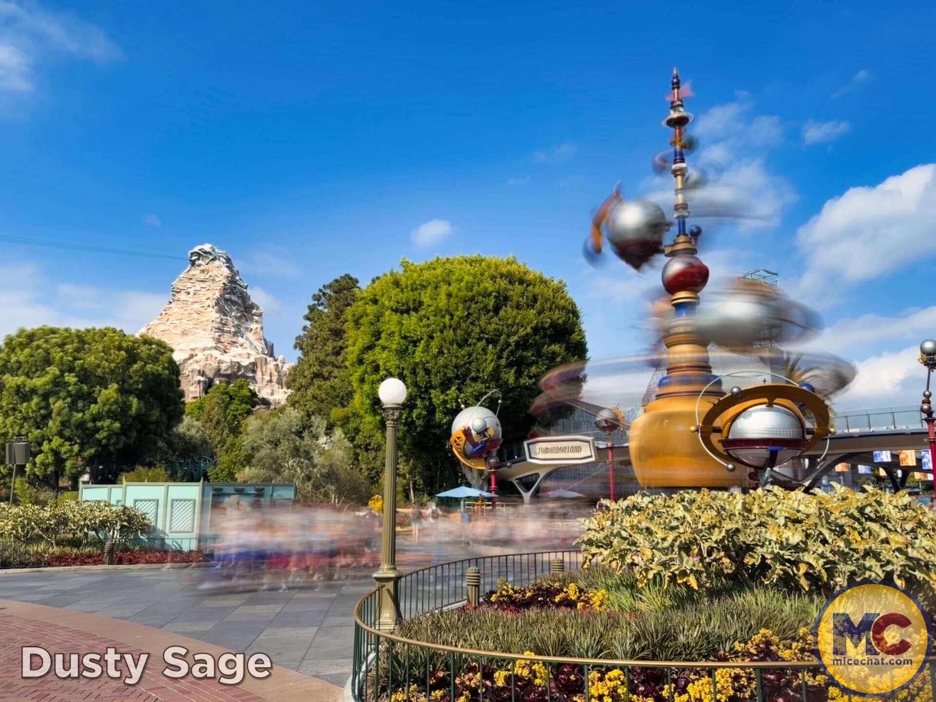 , DISNEYLAND UPDATE: Grogu Nights, Security Fights & Influencer Hype