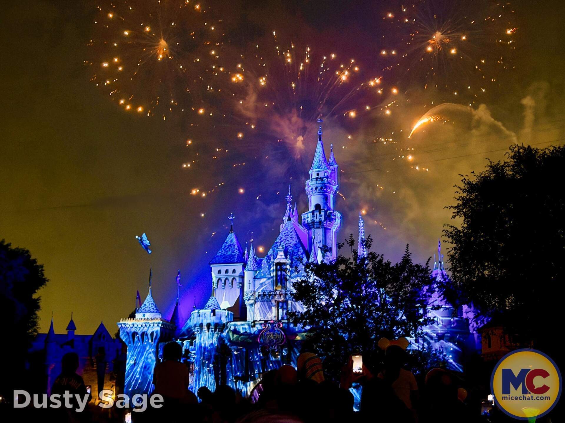 , DISNEYLAND UPDATE: Autopia Sparks, Star Wars Snarls & Summer Starts
