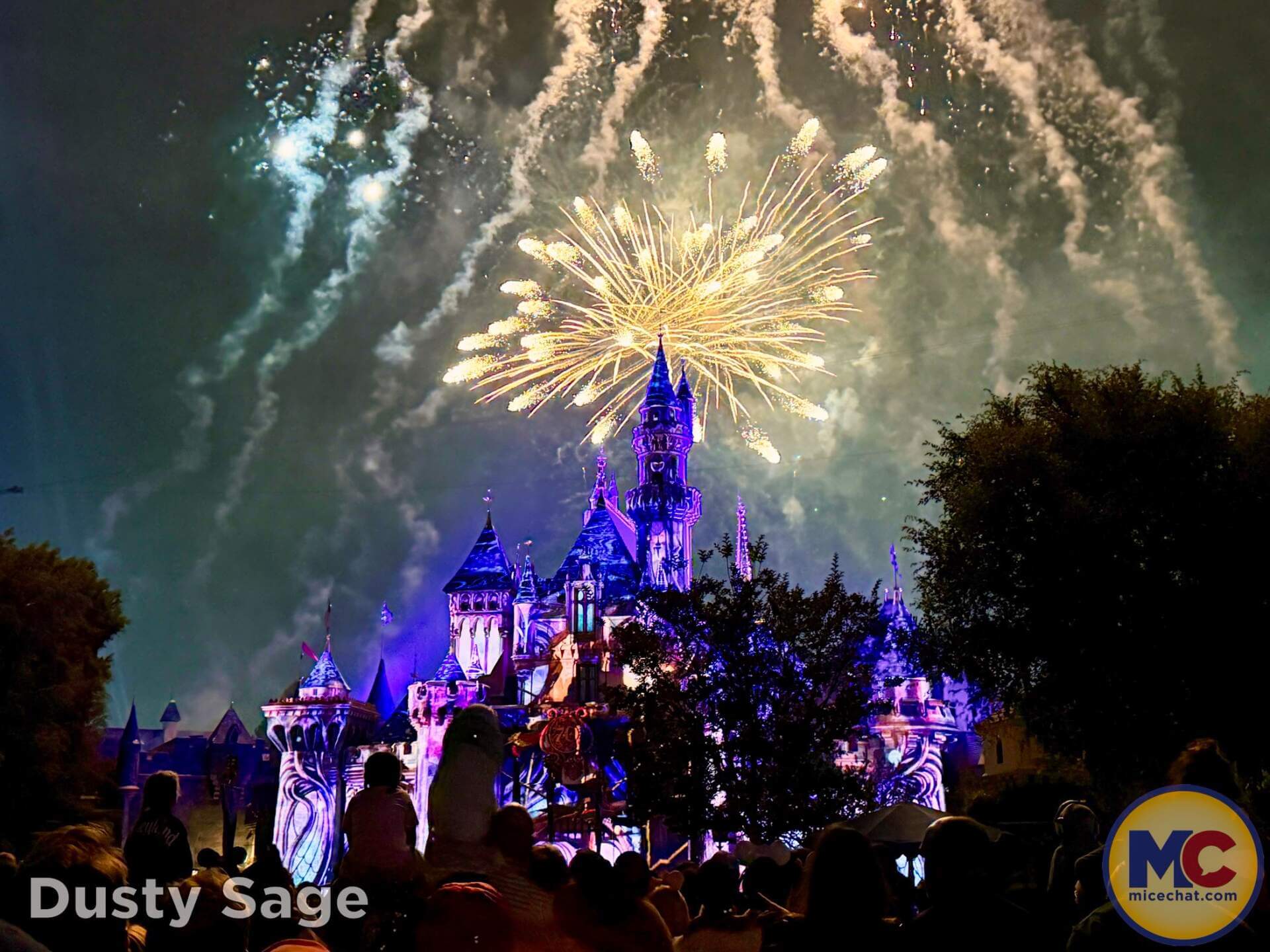 , DISNEYLAND UPDATE: Autopia Sparks, Star Wars Snarls & Summer Starts