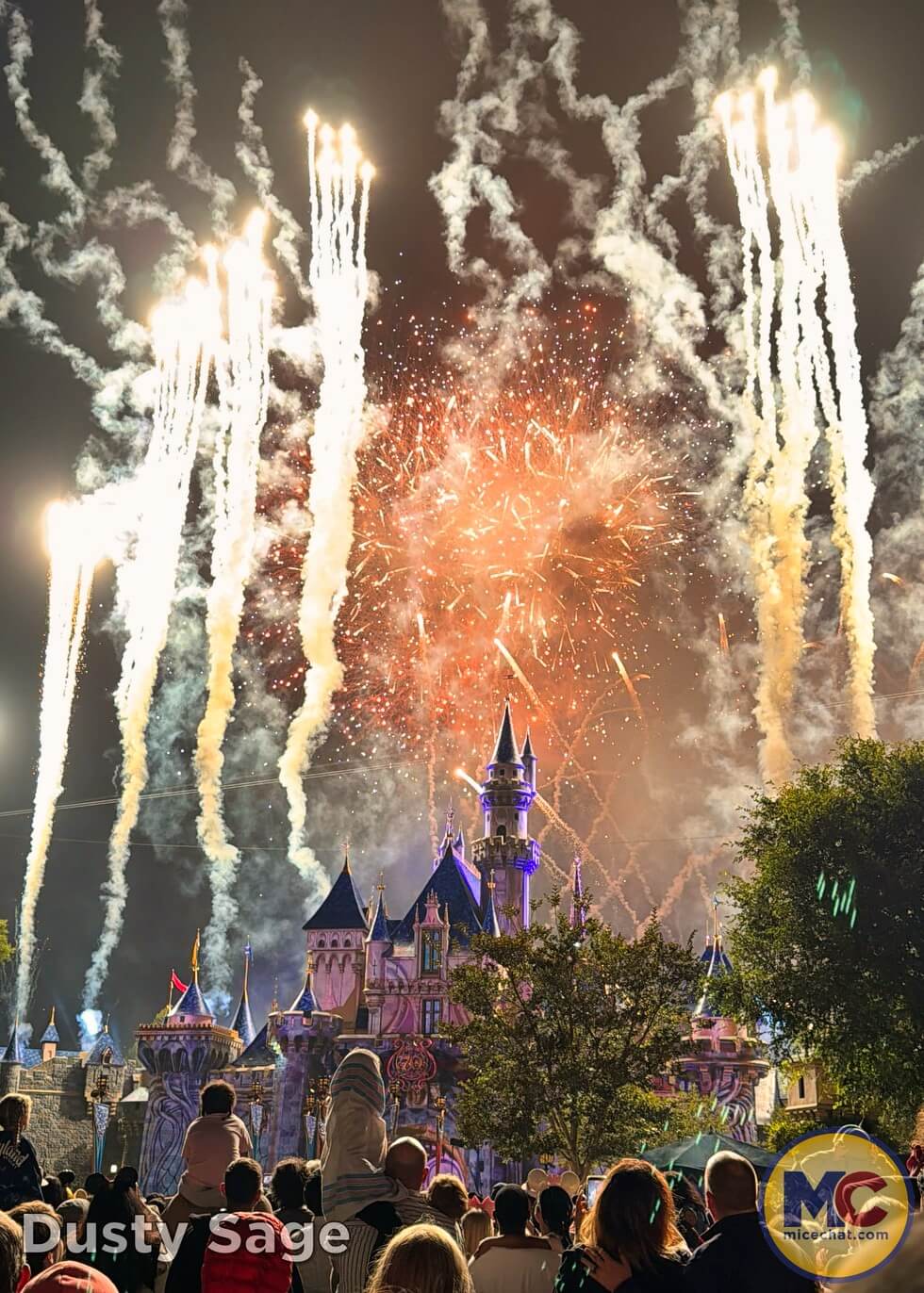 , DISNEYLAND UPDATE: Autopia Sparks, Star Wars Snarls & Summer Starts