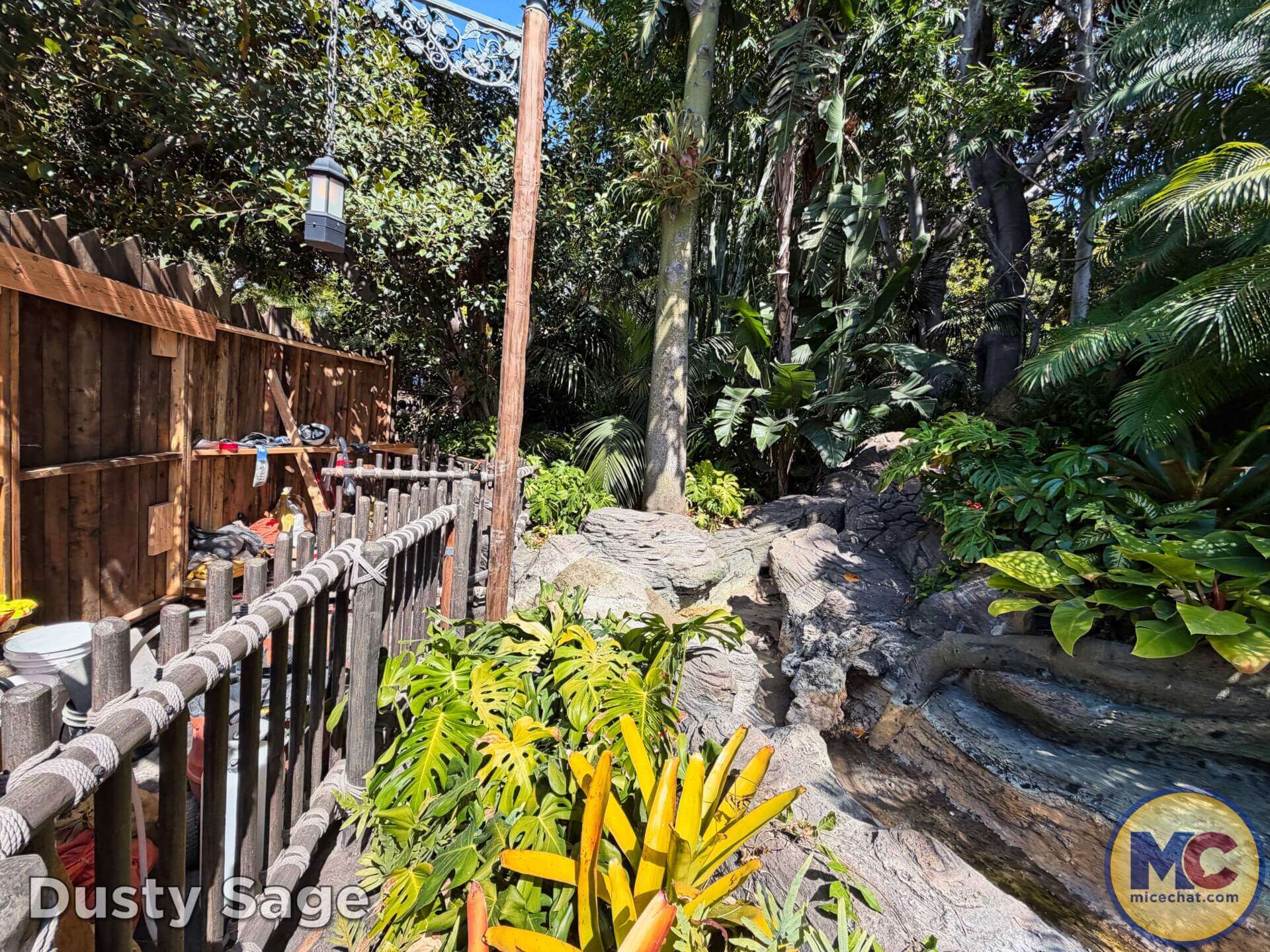 Disneyland News, DISNEYLAND UPDATE: Summer Builds, Shady Spots & Kids Rule