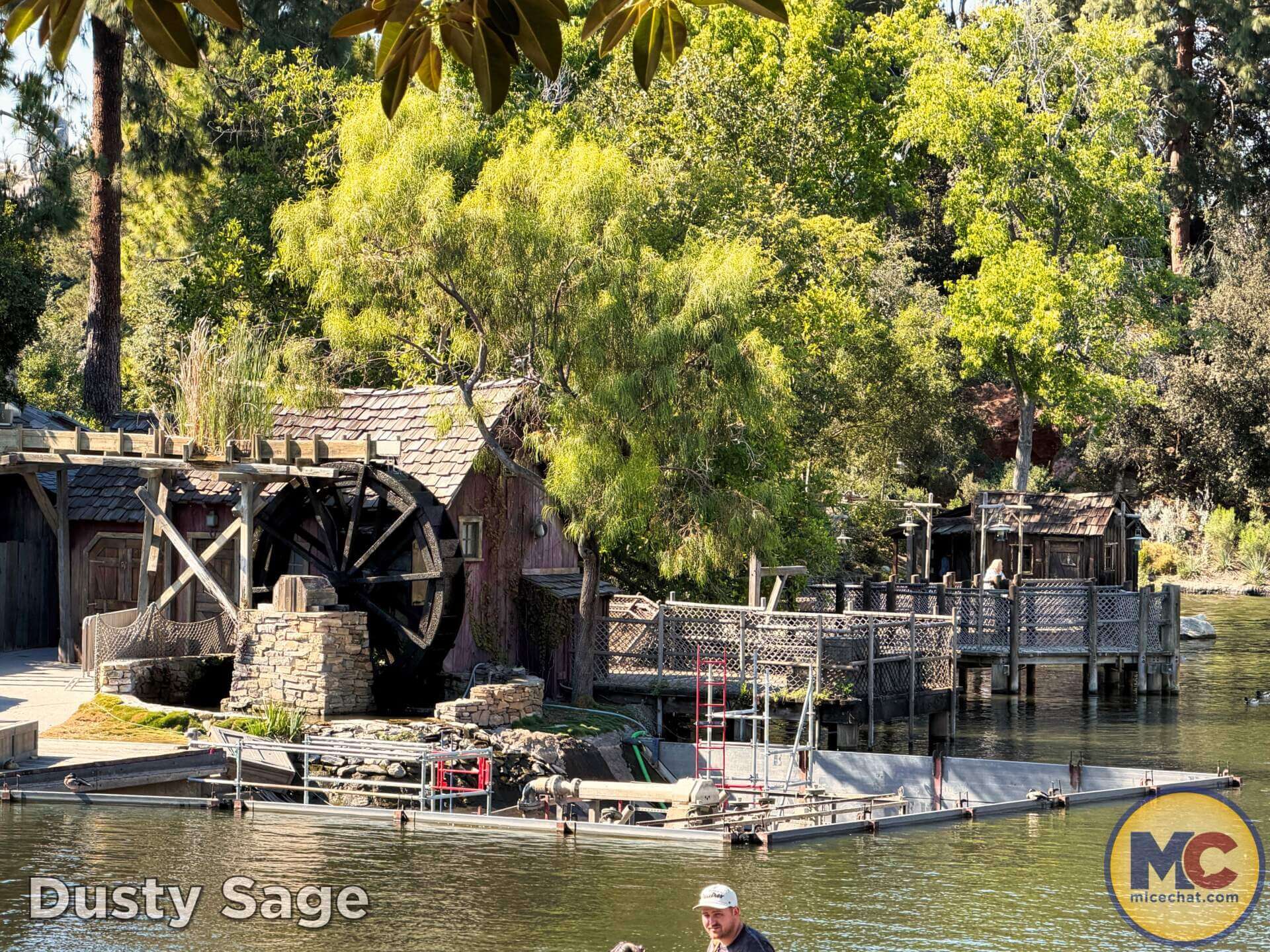 , DISNEYLAND UPDATE: Grogu Nights, Security Fights & Influencer Hype
