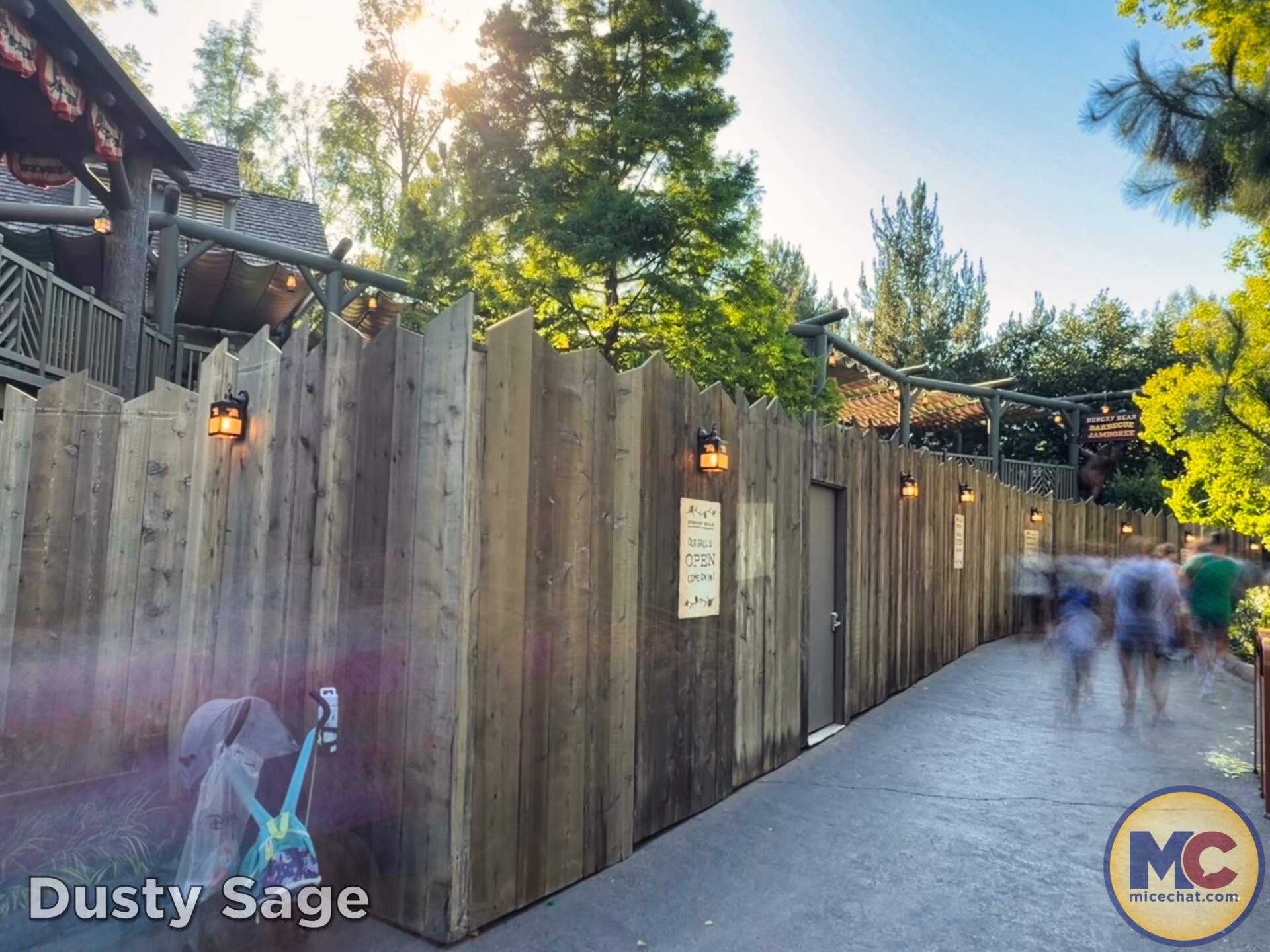 Disneyland News, DISNEYLAND UPDATE: Summer Builds, Shady Spots & Kids Rule
