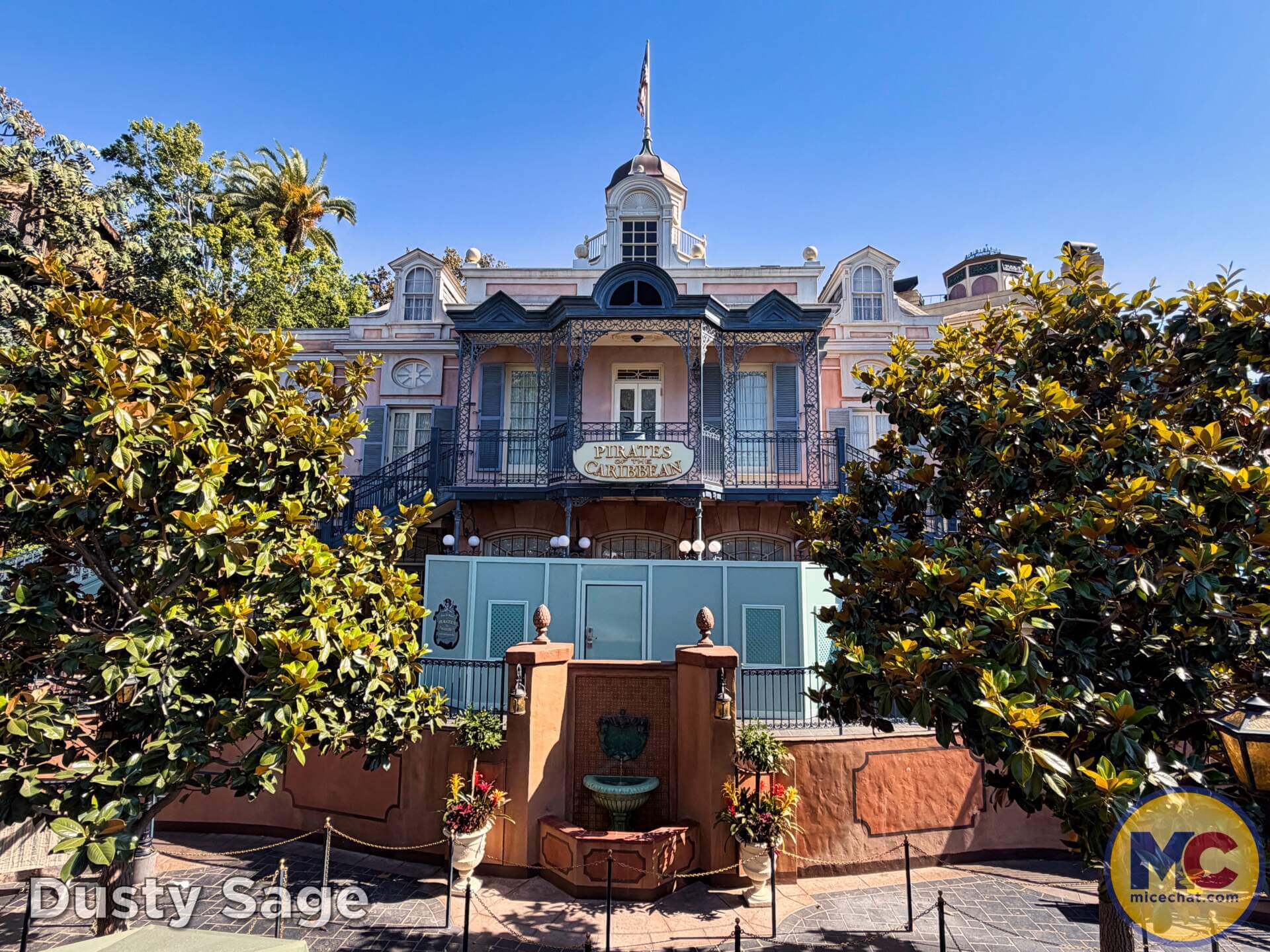 , DISNEYLAND UPDATE: Grogu Nights, Security Fights & Influencer Hype