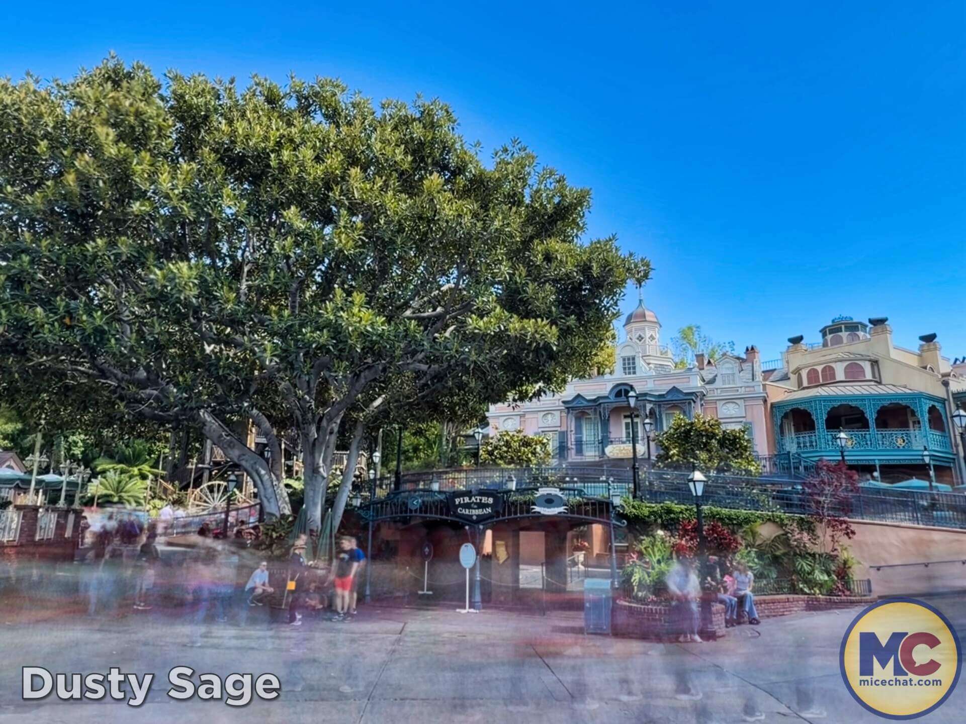 Disneyland News, DISNEYLAND UPDATE: Summer Builds, Shady Spots & Kids Rule