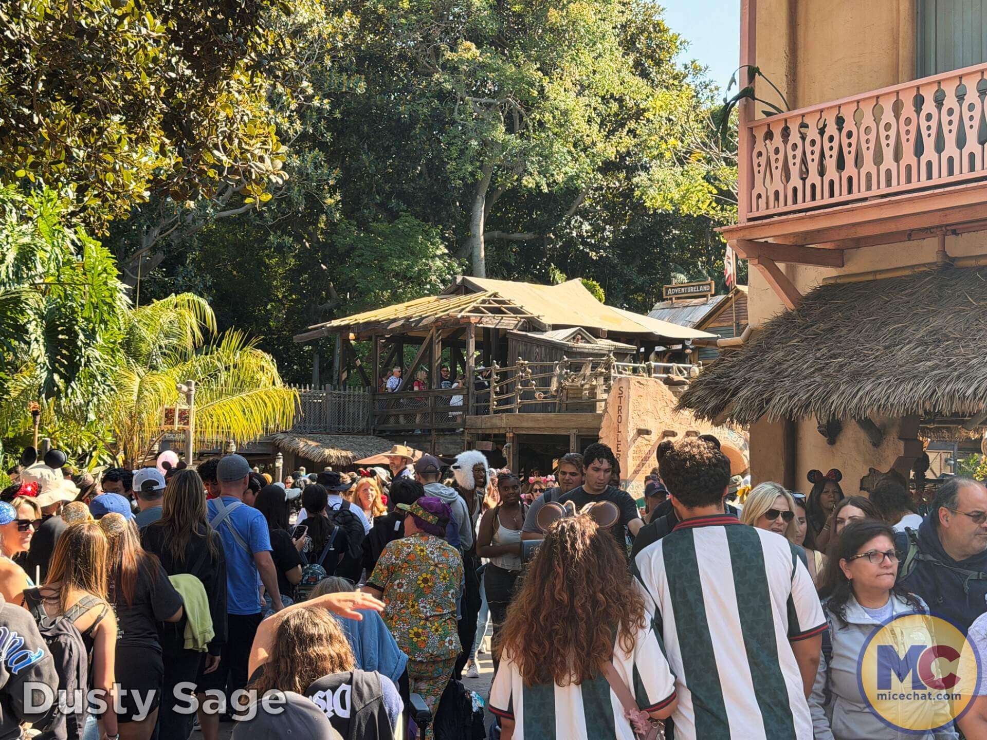 , DISNEYLAND UPDATE: Grogu Nights, Security Fights & Influencer Hype