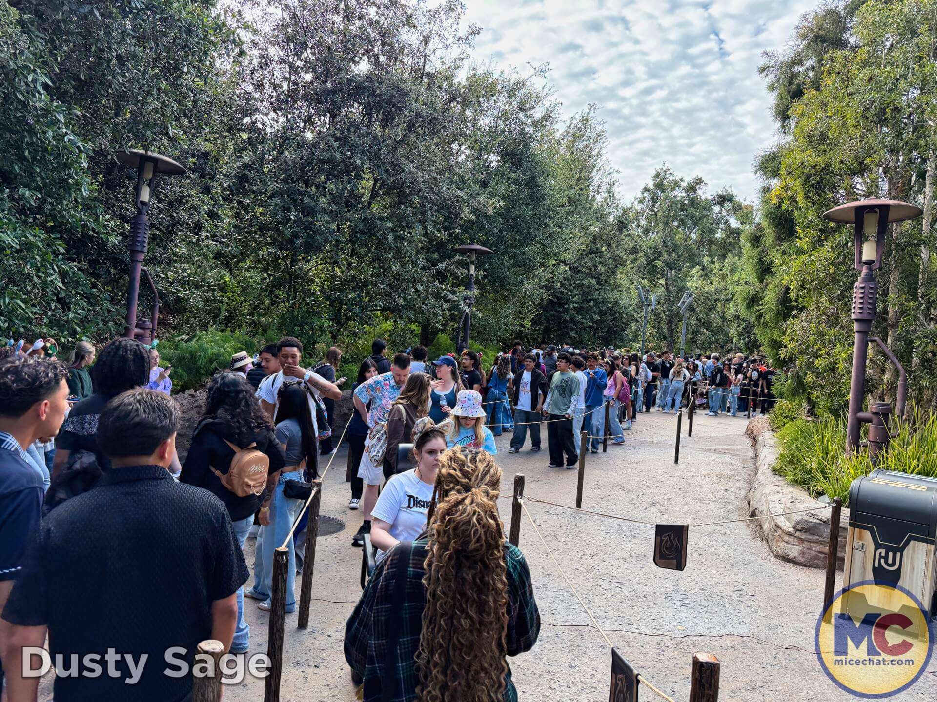 Disneyland News, DISNEYLAND UPDATE: Summer Builds, Shady Spots & Kids Rule