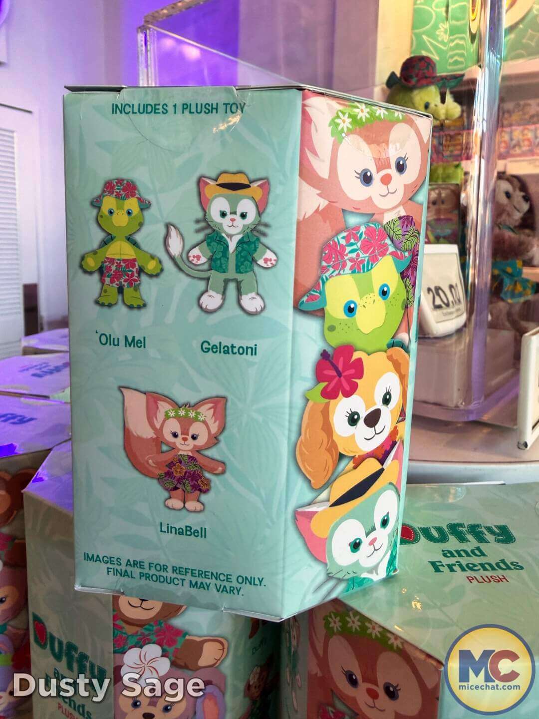 , DISNEYLAND UPDATE: Grogu Nights, Security Fights & Influencer Hype