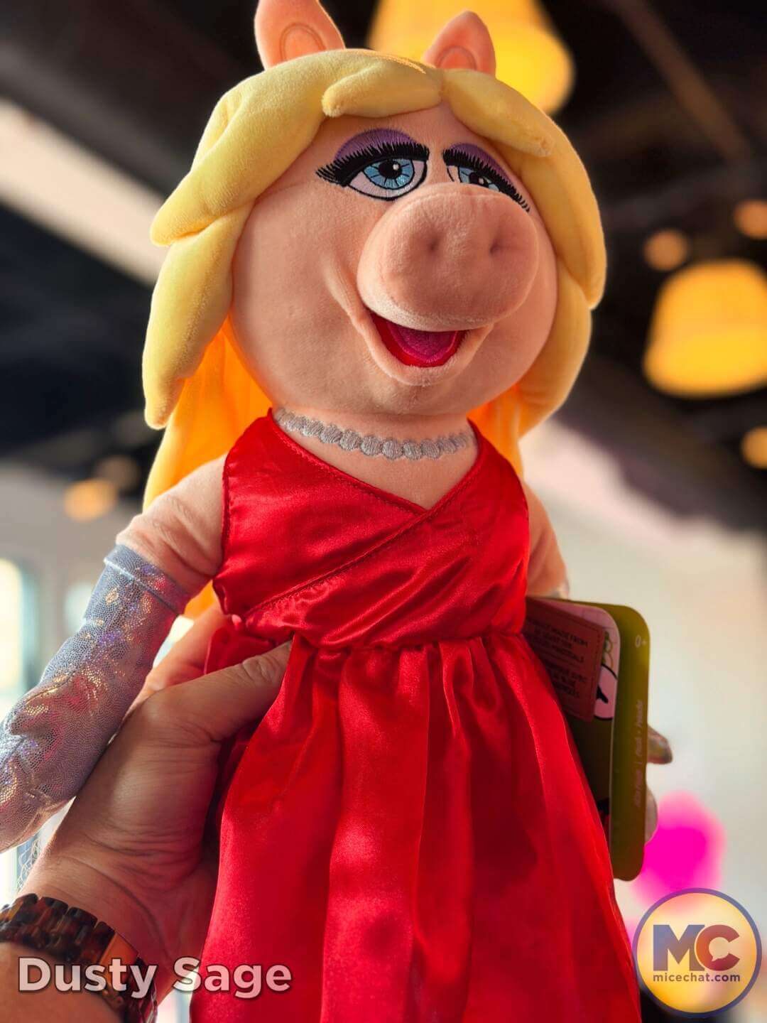 , DISNEYLAND UPDATE: Grogu Nights, Security Fights & Influencer Hype