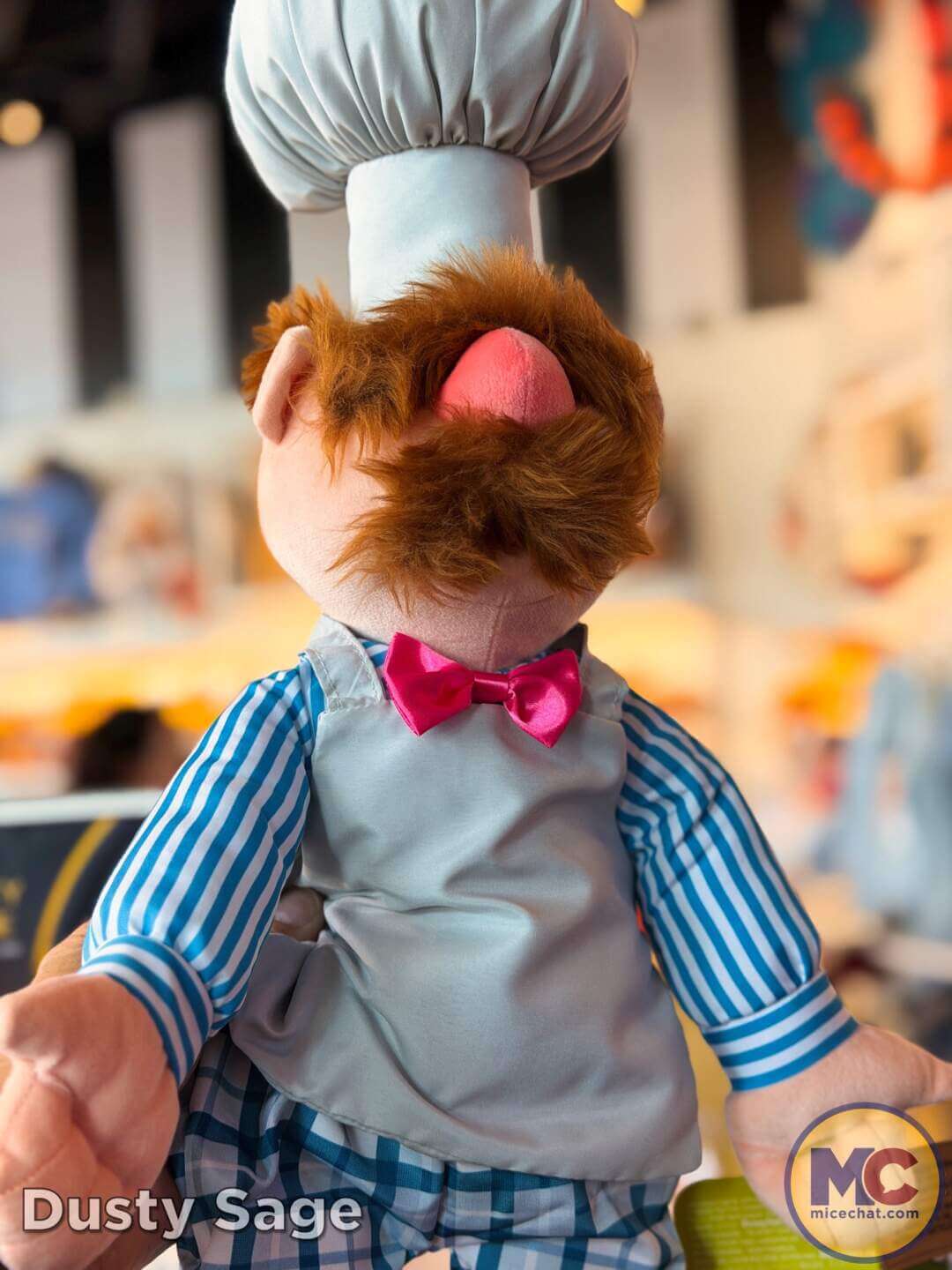 , DISNEYLAND UPDATE: Grogu Nights, Security Fights & Influencer Hype