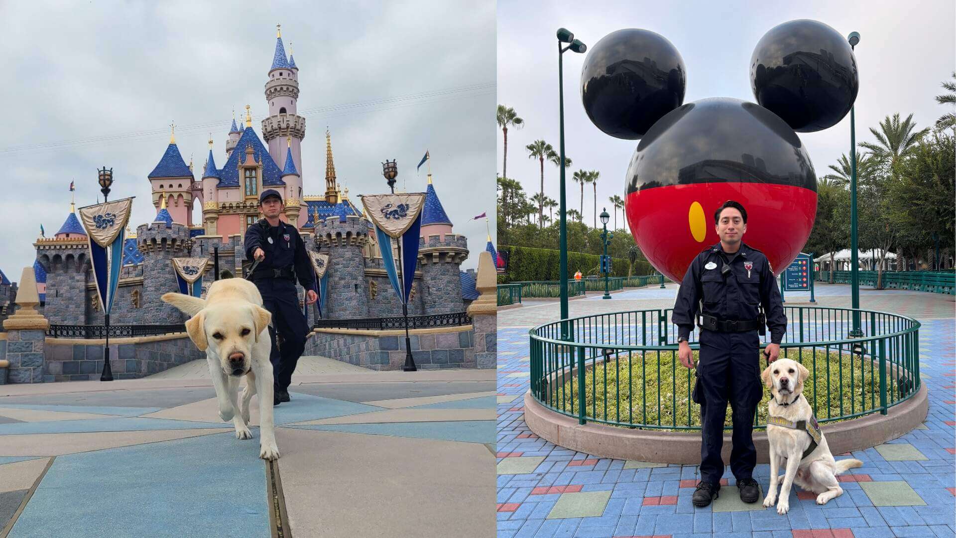 Disneyland Security, David Koenig: Disneyland Security Strike Vote Ends in Controversy
