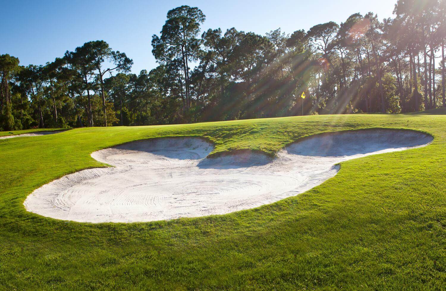 Walt Disney World Golf, Walt Disney World Golf Guide: The Happiest Place on Turf!