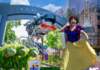 WDW UPDATE: Thunder, Monsters & Mayhem, Disney World’s Construction Boom Goes Wild! , MiceAge – A Different Look at Disney