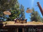 DLR-Disneyland-Blues-Rays-Berets-2