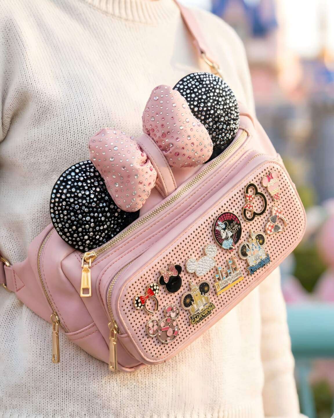 best park bag, Battle of the Bags: The Best Disney Park Bag for Your Visit