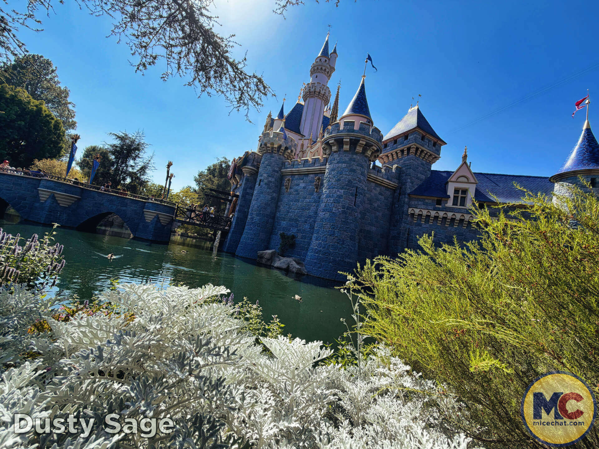 , DISNEYLAND UPDATE: Bash Tickets, New Gateway & A Big Avengers Birthday