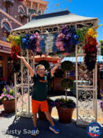 Disneyland pride flower arch MiceChat