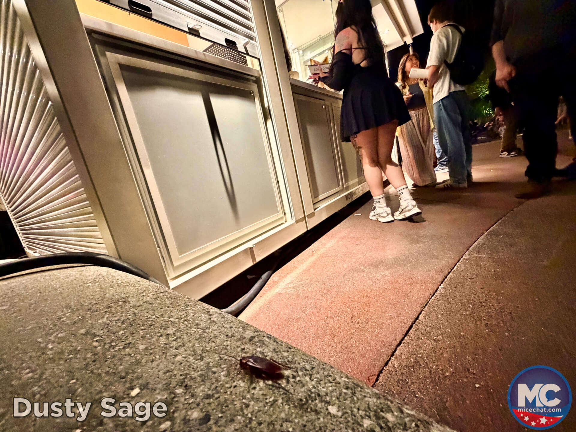 , DISNEYLAND UPDATE: A Labor Fight Brews, Oogie Boogie’s Cauldron Stirs, and Toy Story Takes Over