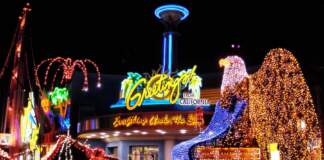 Yesterland: Disney’s Electrical Parade at Disney’s California Adventure Yesterland: Disney’s Electrical Parade at Disney’s California Adventure