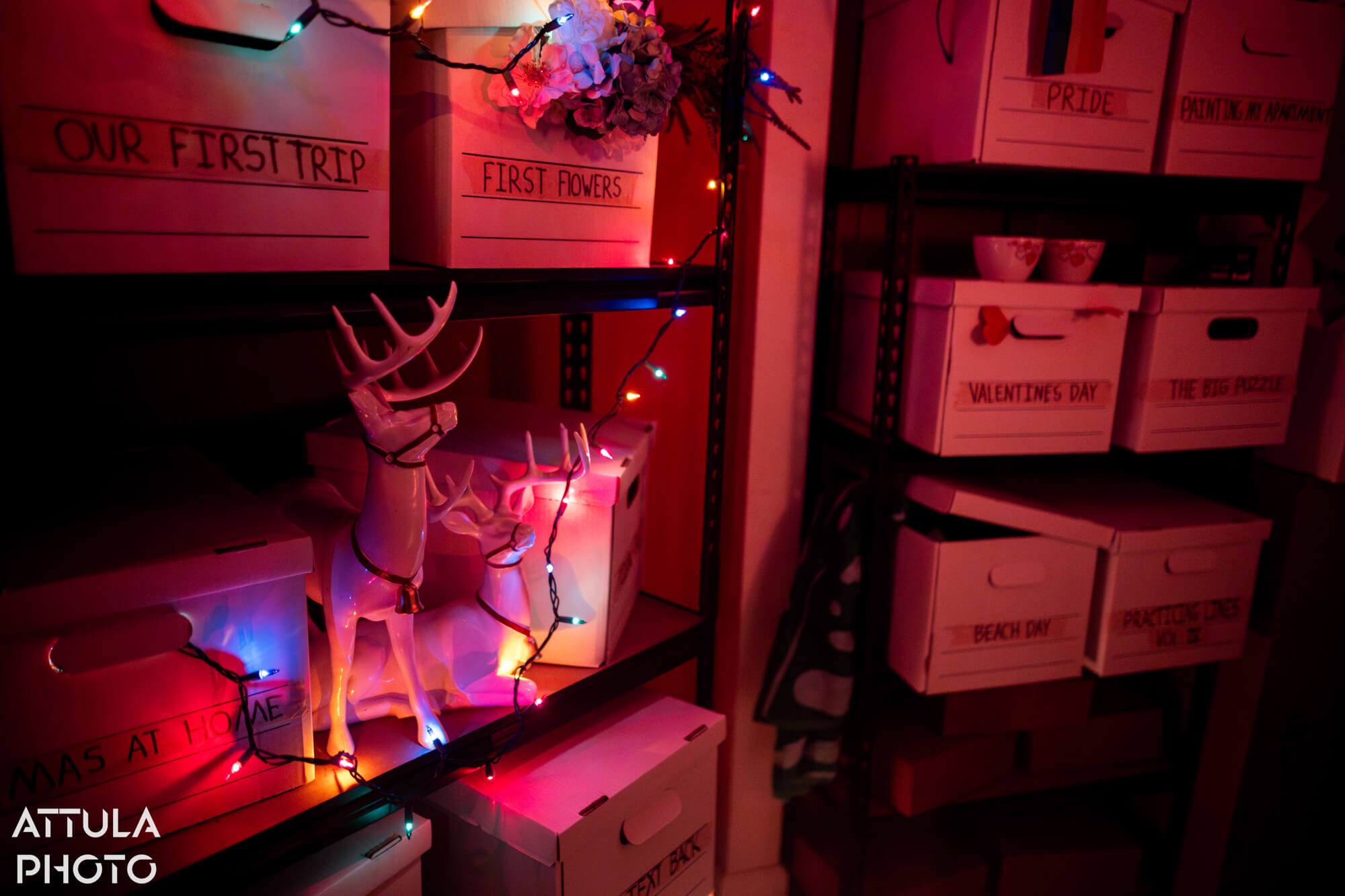 Shoebox Museum, The Shoebox Museum: Theme Park Designers Turn Heartbreak Into Immersive Theater