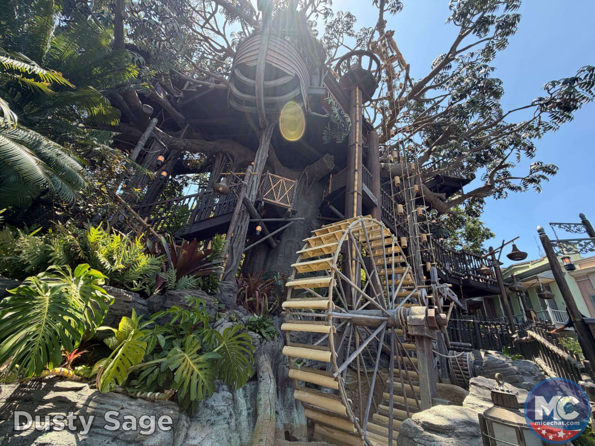 , DISNEYLAND UPDATE: A Pirate’s Glitch for Me, The Billionth Guest, &  Cheap Sell-Out