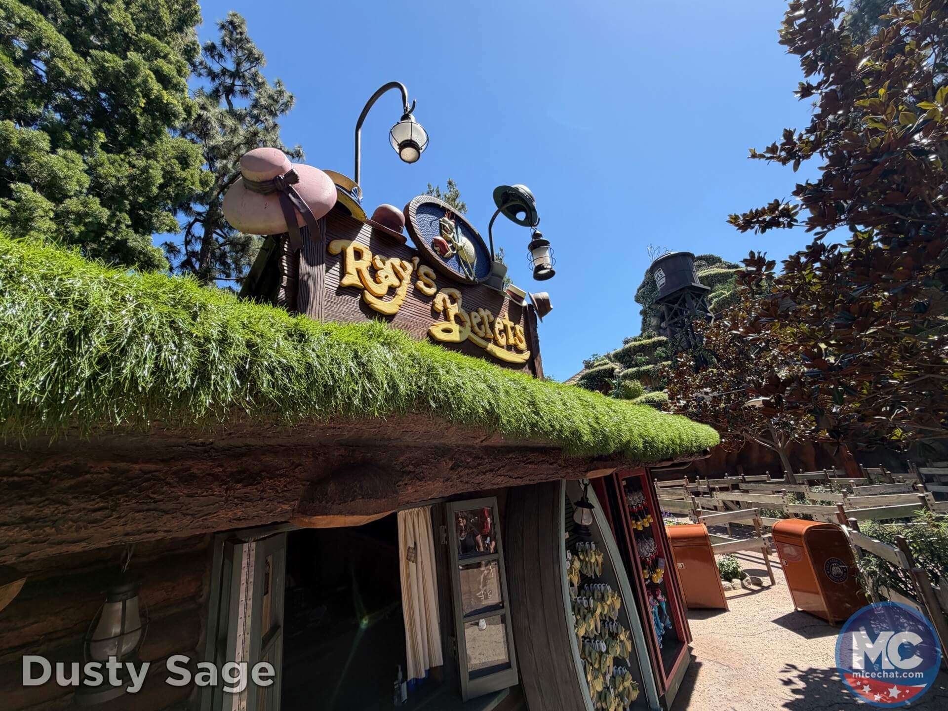 , DISNEYLAND UPDATE: A Pirate’s Glitch for Me, The Billionth Guest, &  Cheap Sell-Out