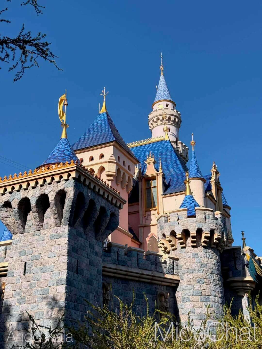 Disneyland, DISNEYLAND UPDATE: Hot Days, Cool Crowds & Summer Shakeups