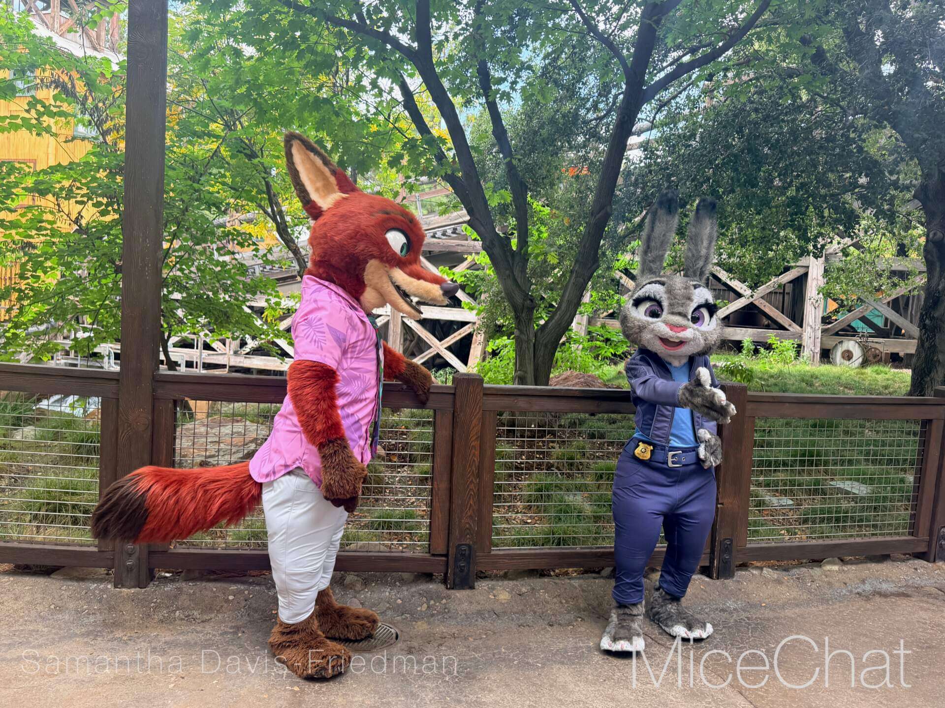 , DISNEYLAND UPDATE: A Pirate’s Glitch for Me, The Billionth Guest, &  Cheap Sell-Out