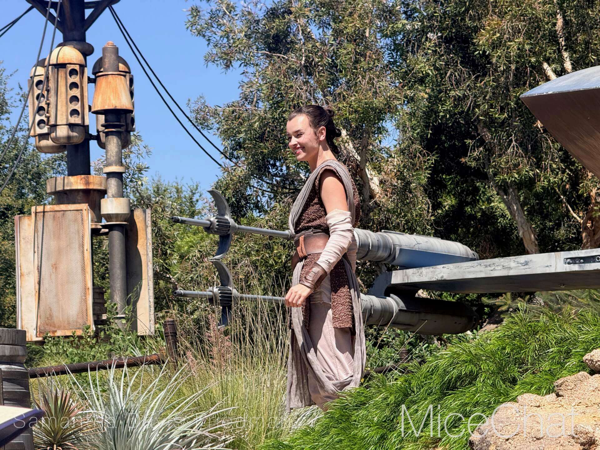, DISNEYLAND UPDATE: A Pirate’s Glitch for Me, The Billionth Guest, &  Cheap Sell-Out