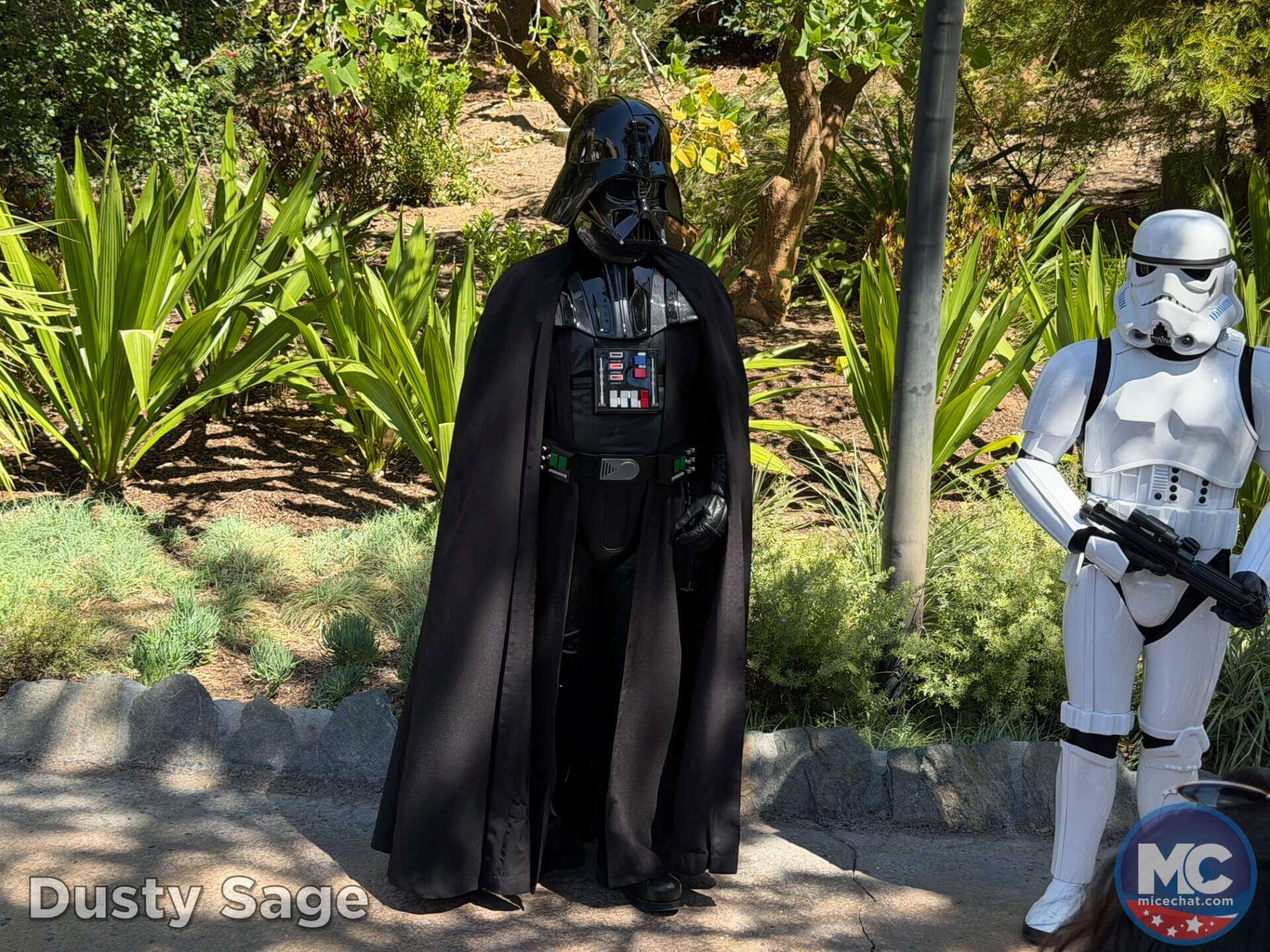, DISNEYLAND UPDATE: A Pirate’s Glitch for Me, The Billionth Guest, &  Cheap Sell-Out