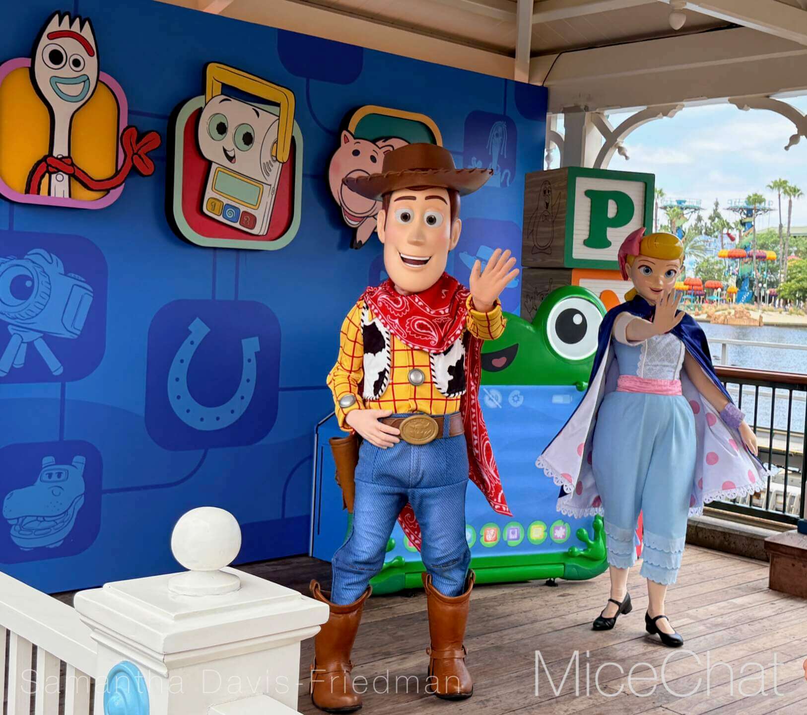 , DISNEYLAND UPDATE: A Pirate’s Glitch for Me, The Billionth Guest, &  Cheap Sell-Out