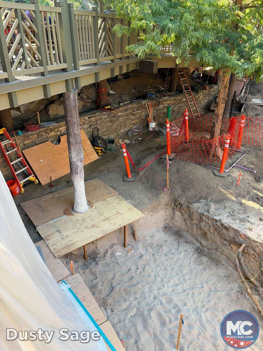, DISNEYLAND UPDATE: A Pirate’s Glitch for Me, The Billionth Guest, &  Cheap Sell-Out