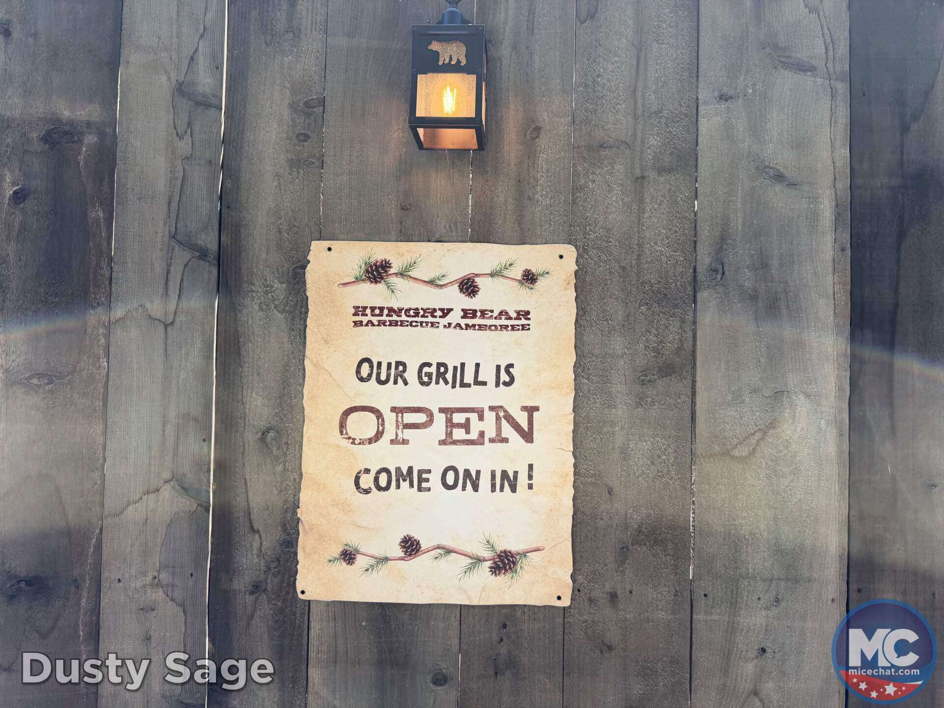 , DISNEYLAND UPDATE: A Pirate’s Glitch for Me, The Billionth Guest, &  Cheap Sell-Out