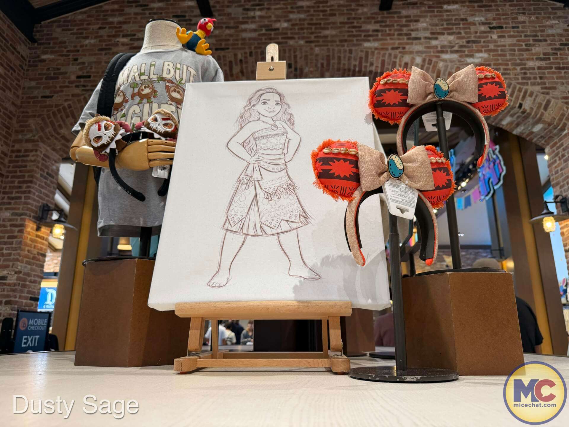 Live-action Moana, Disney&rsquo;s Live-Action Moana Merchandise Sails Onto Shelves