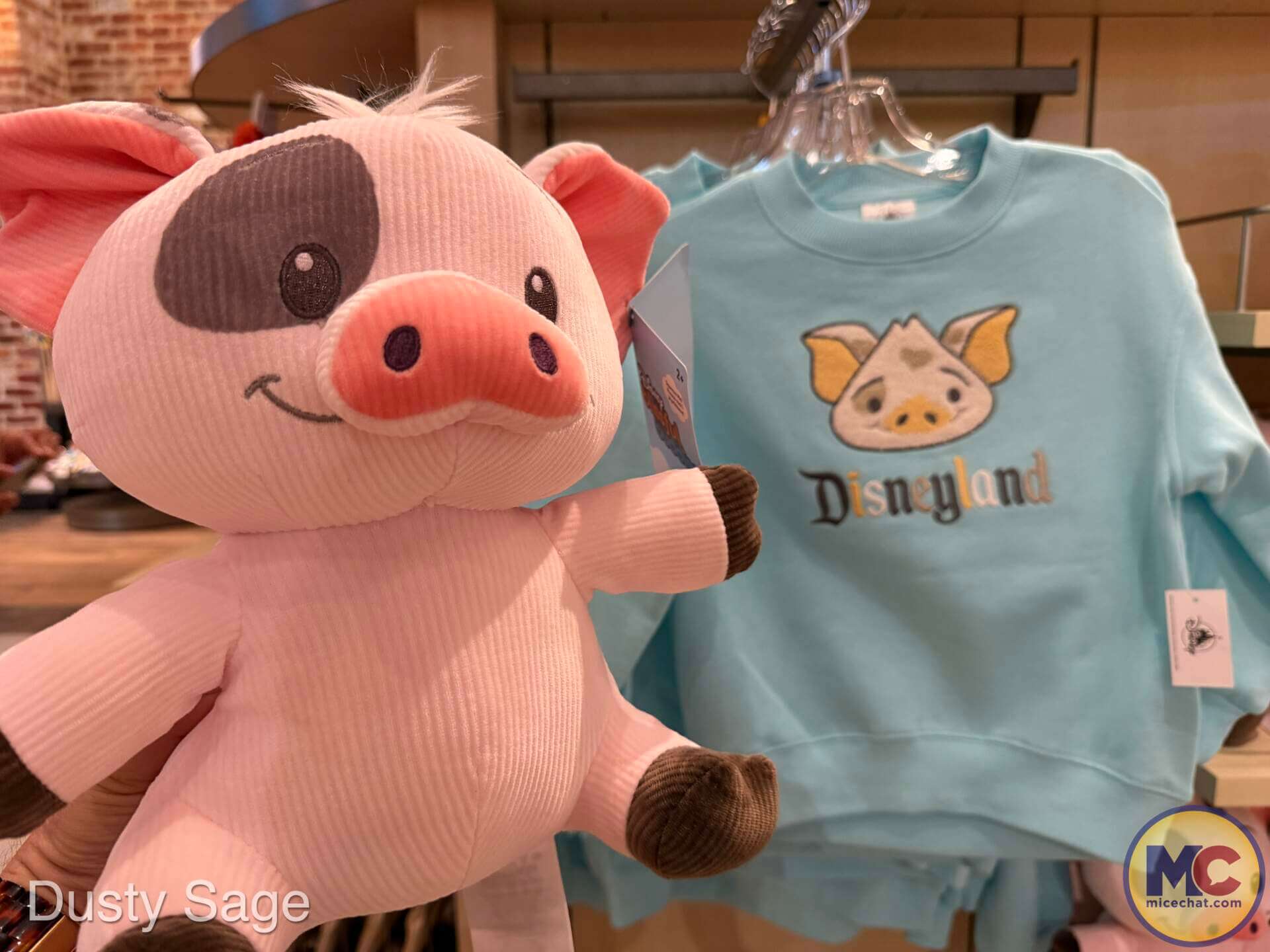 Live-action Moana, Disney’s Live-Action Moana Merchandise Sails Onto Shelves