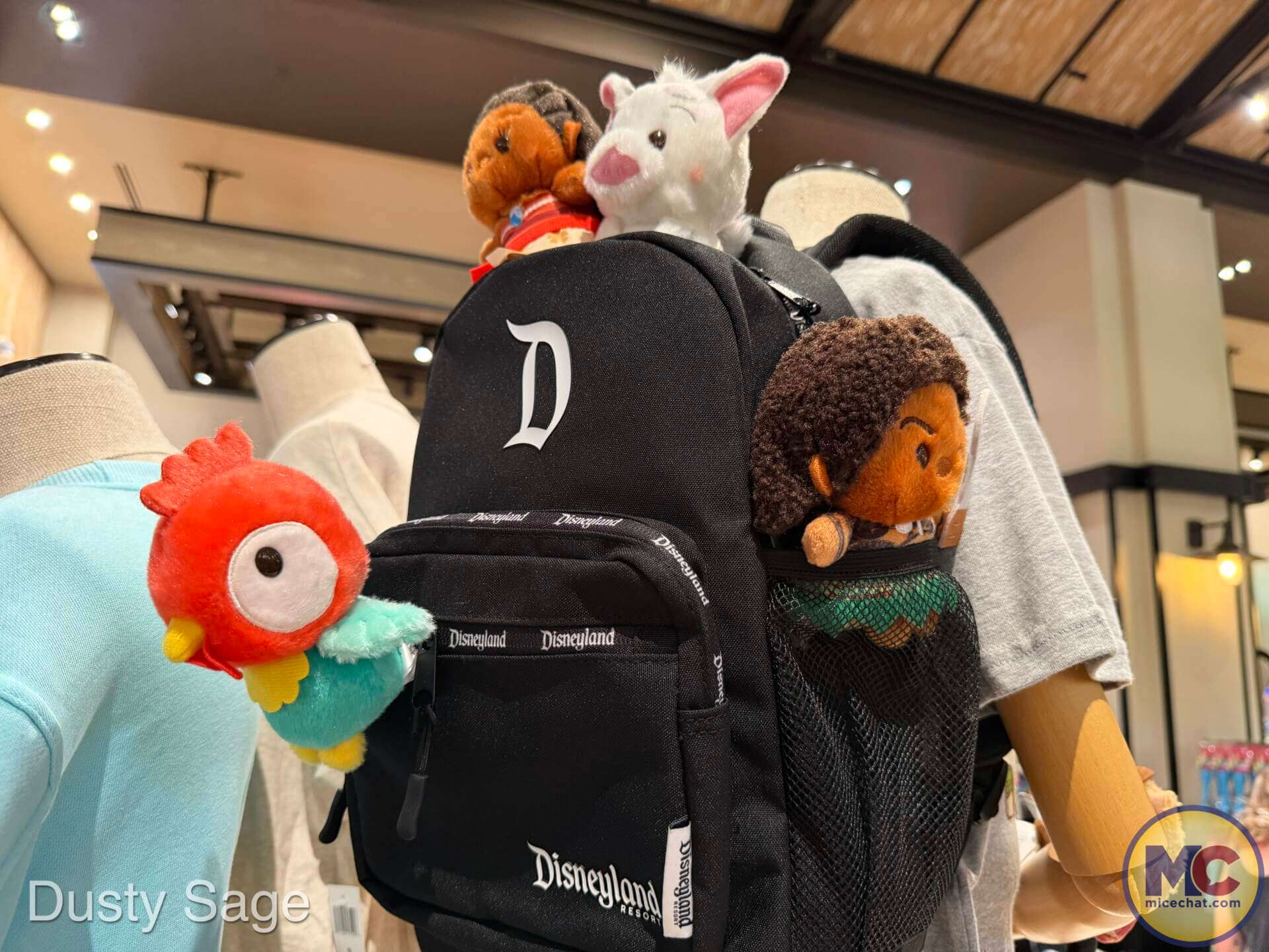Live-action Moana, Disney&rsquo;s Live-Action Moana Merchandise Sails Onto Shelves