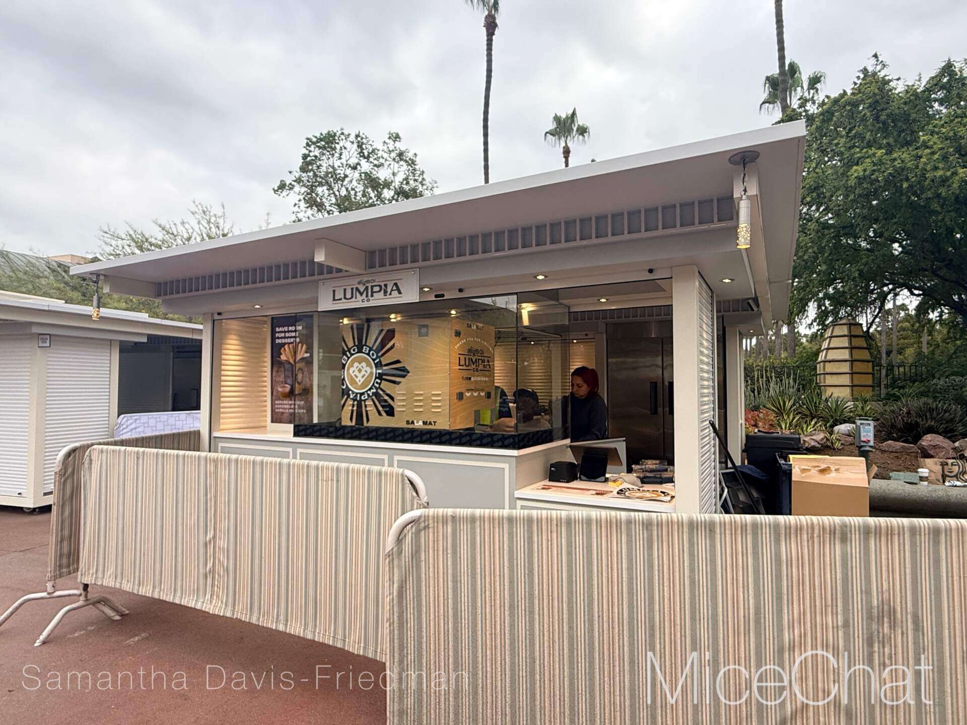 , DISNEYLAND UPDATE: A Pirate’s Glitch for Me, The Billionth Guest, &  Cheap Sell-Out